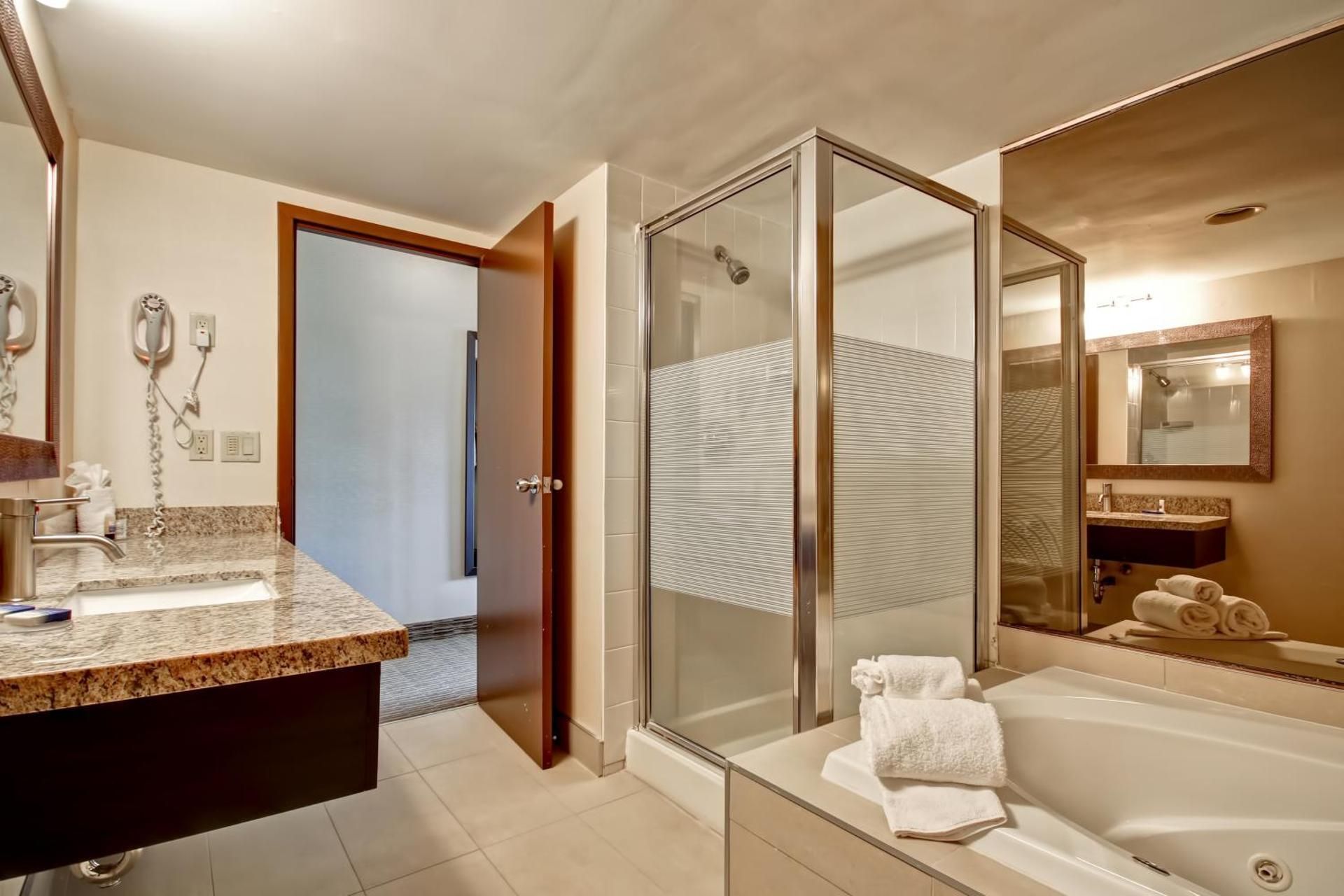 1 King Bed, Nonsmoking, Sofabed, Business Plus Room