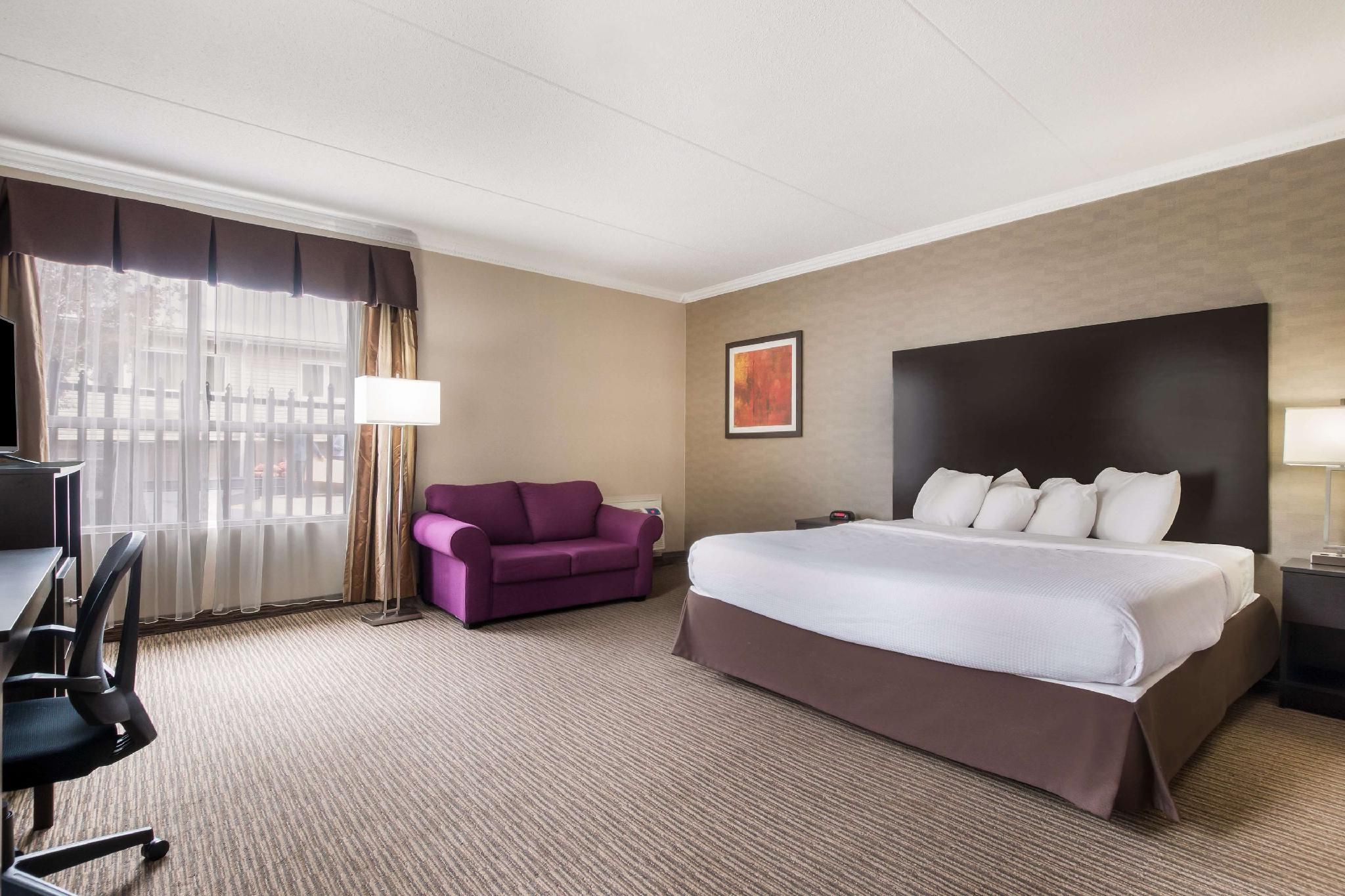 Best Western Little River Inn 1 King Bed, Nonsmoking, Sofabed, Jetted Tub