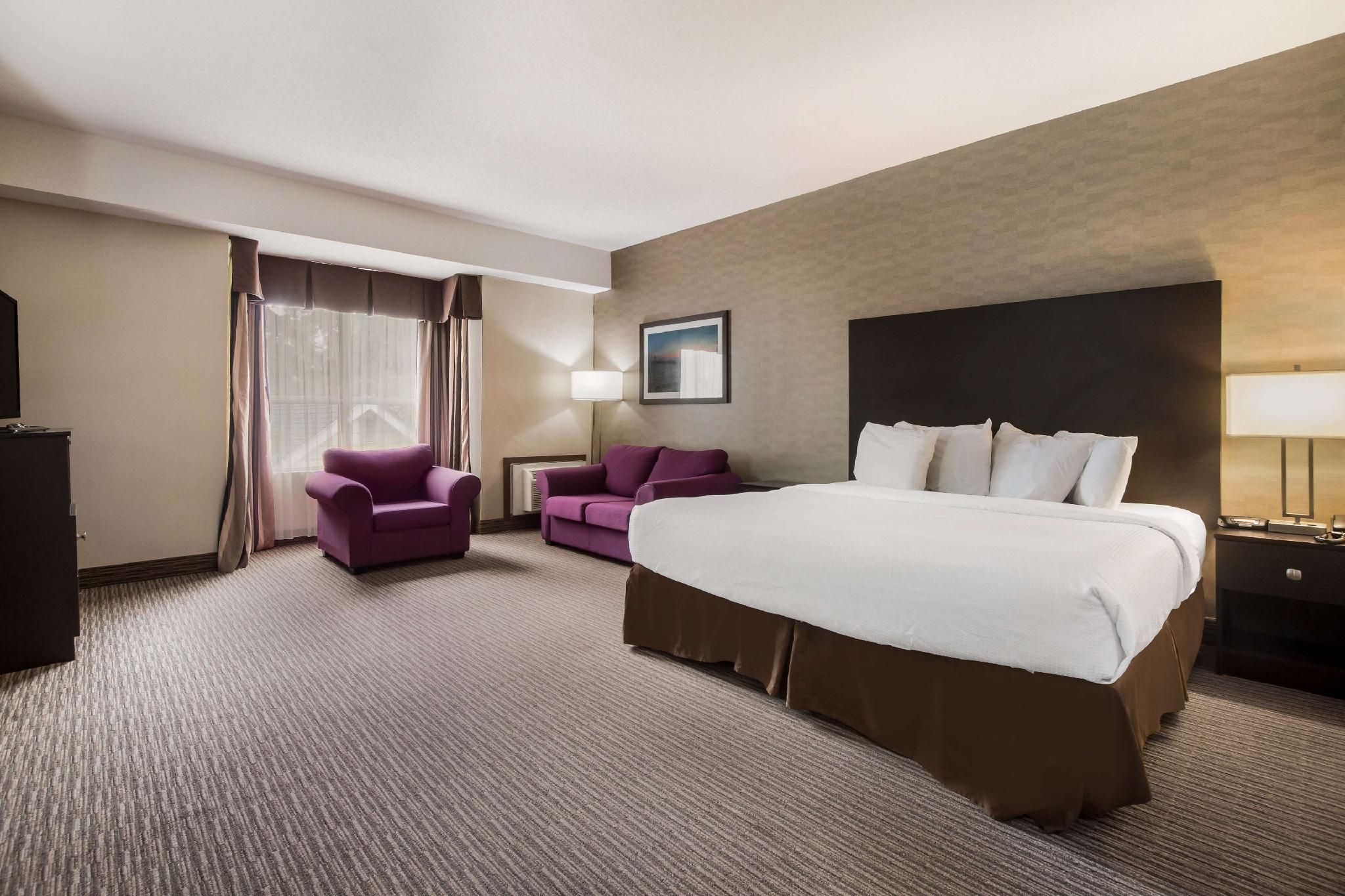 1 King Bed, Nonsmoking, Business Plus Room