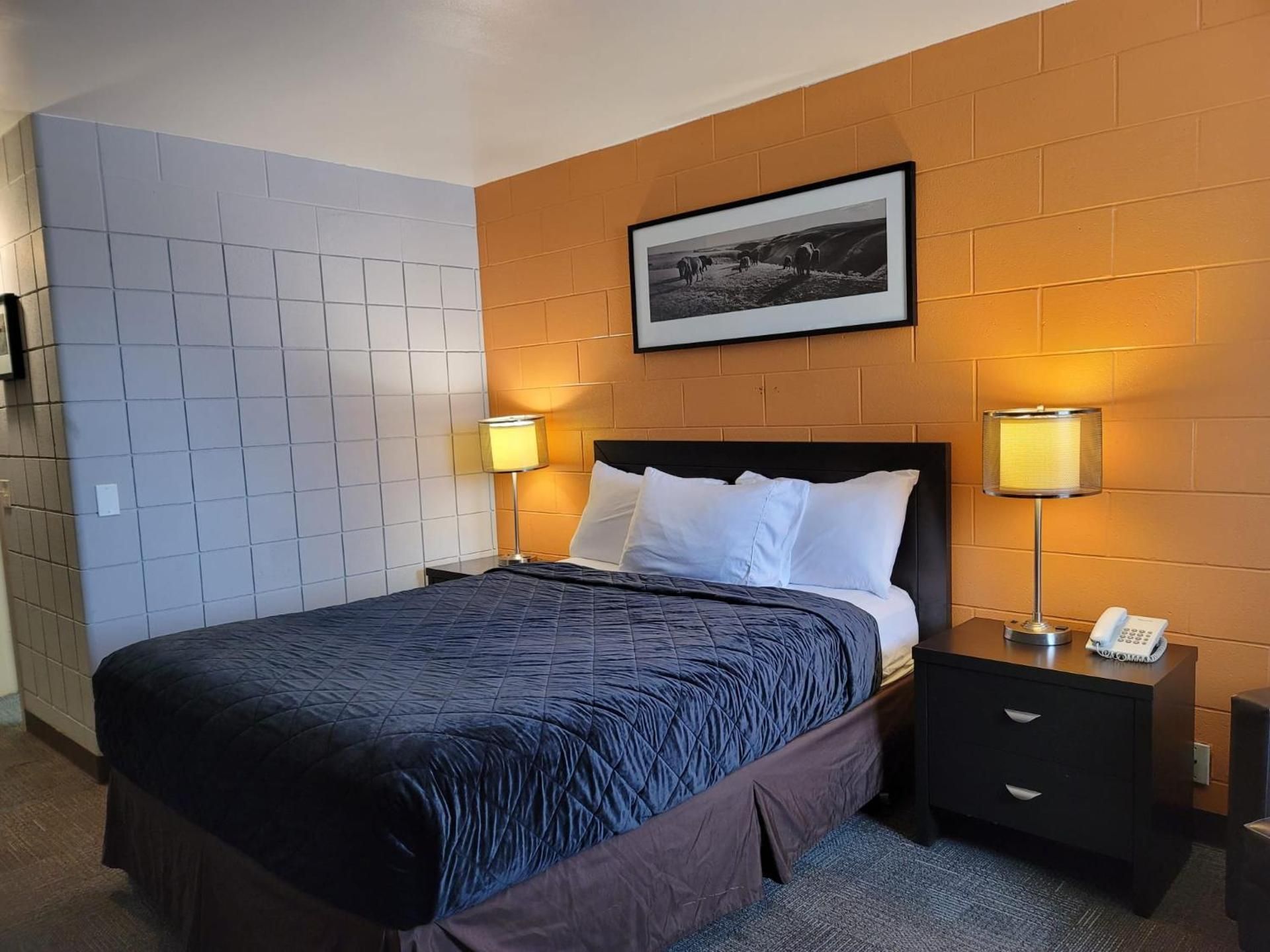 Standard Queen Room - Pet Friendly