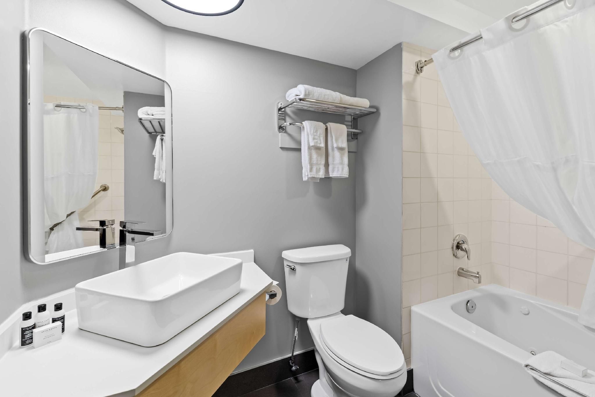 Suite - 1 King Bed, Nonsmoking, Family Room, Sofabed, Living Room