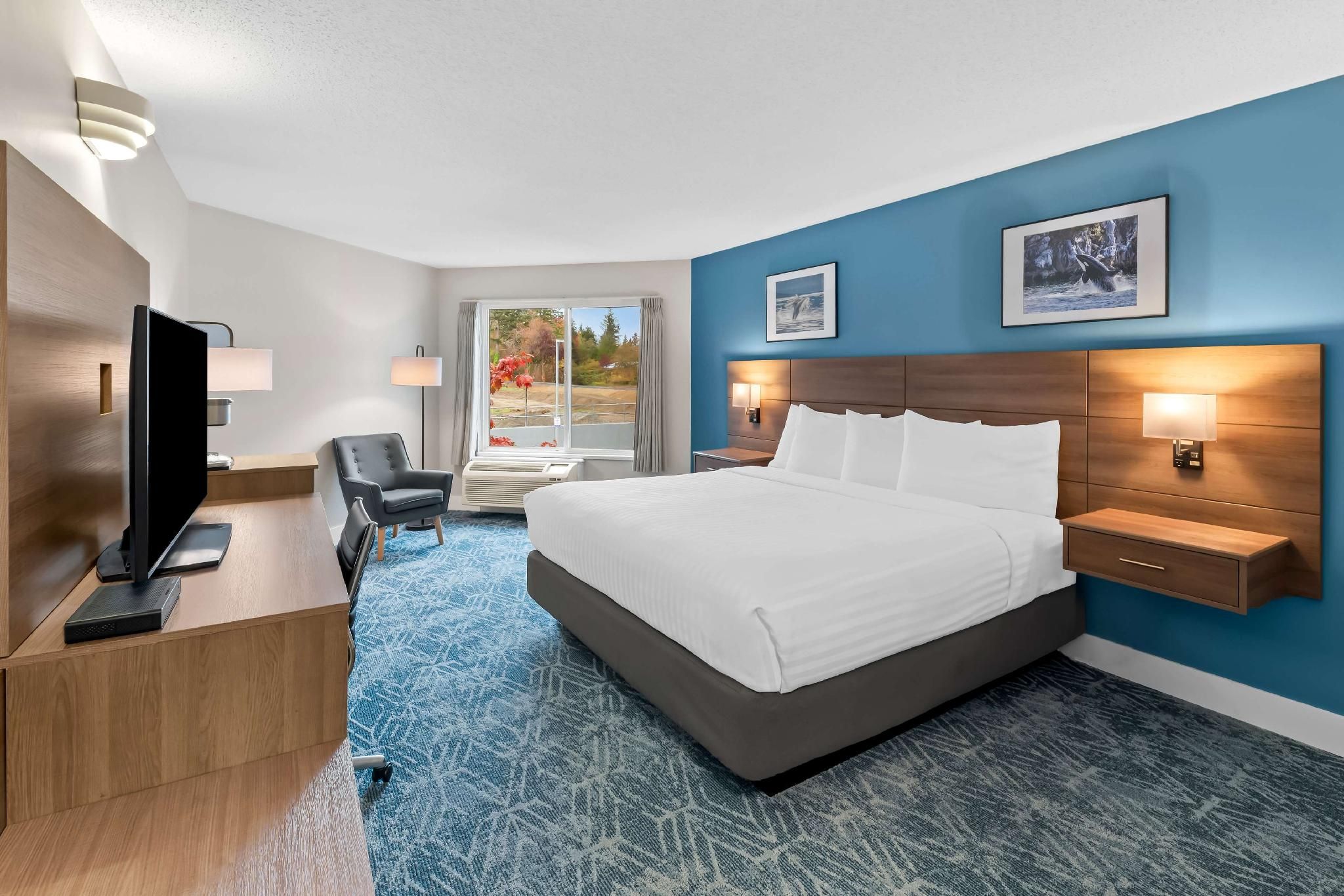1 King Bed, Nonsmoking