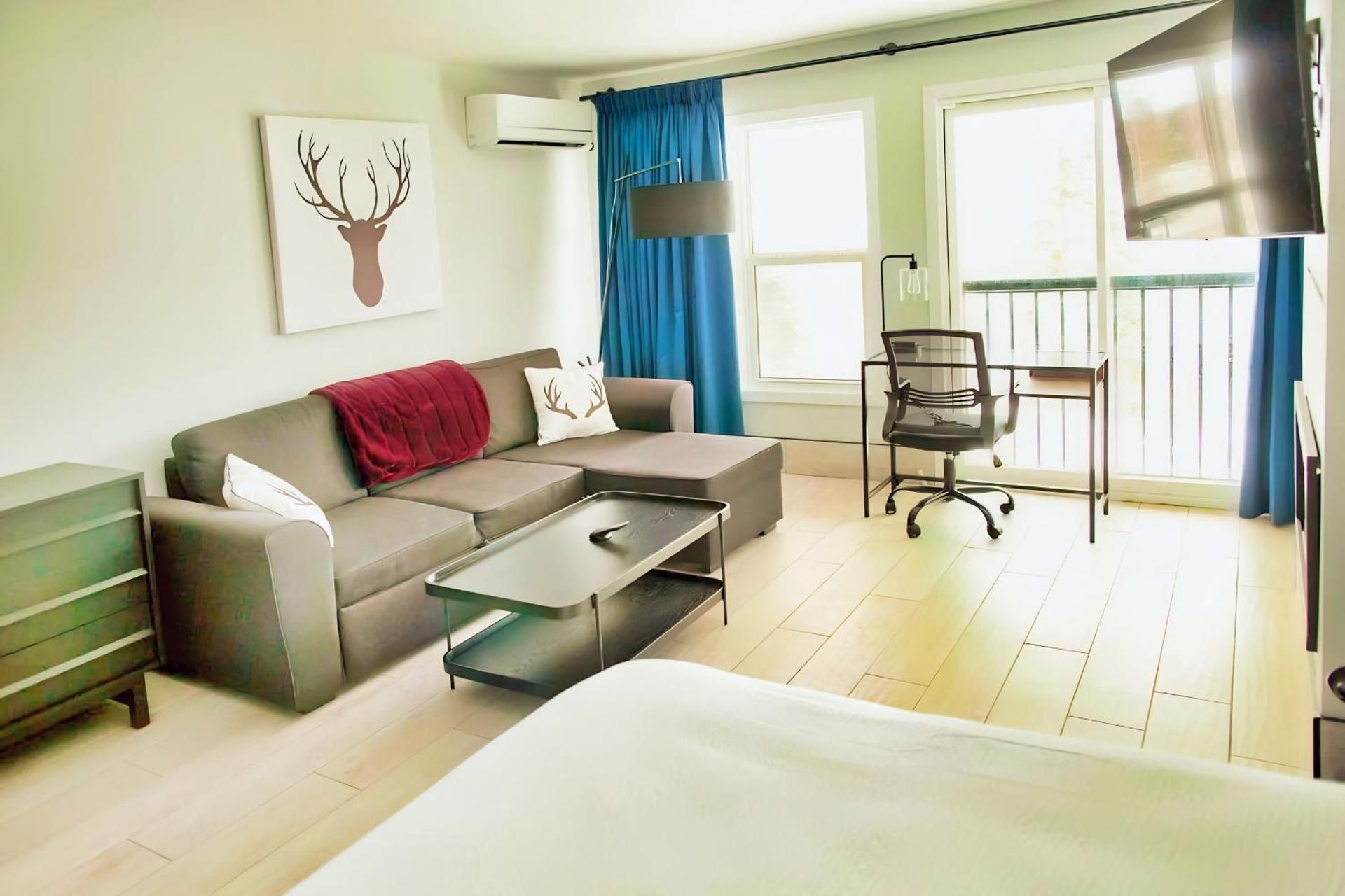 Studio with Sofa Bed