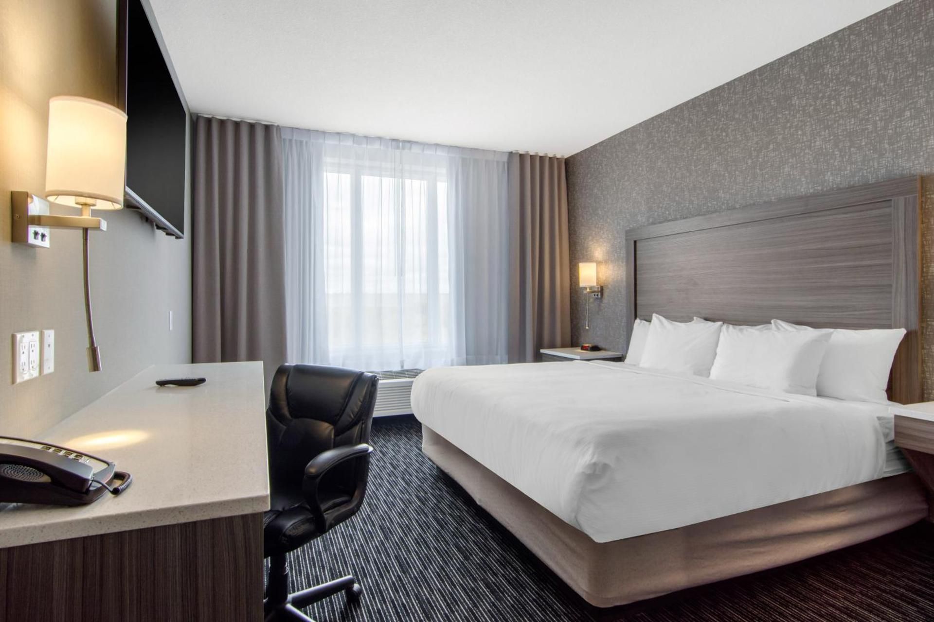 Presidential King Suite
