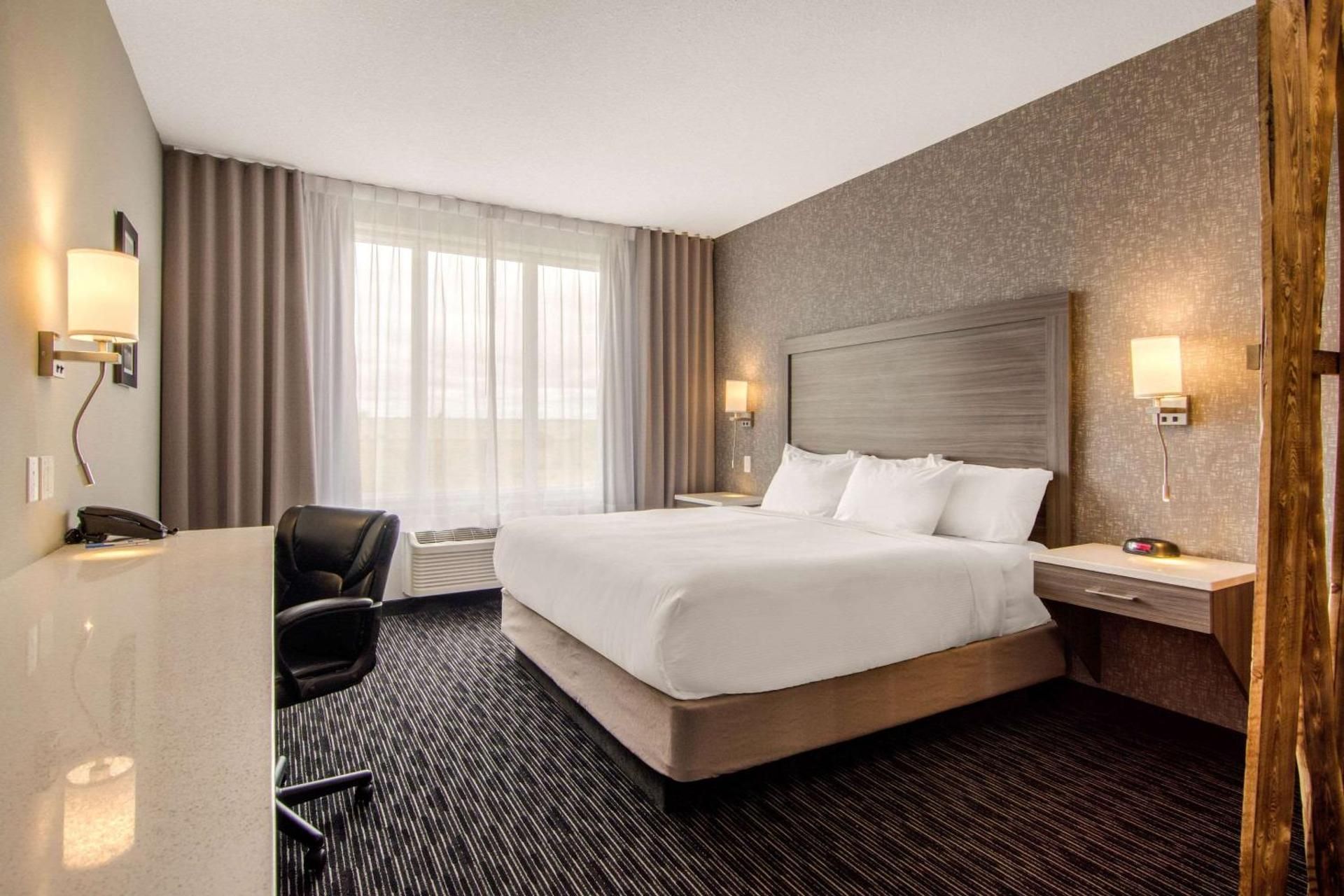 Executive King Suite