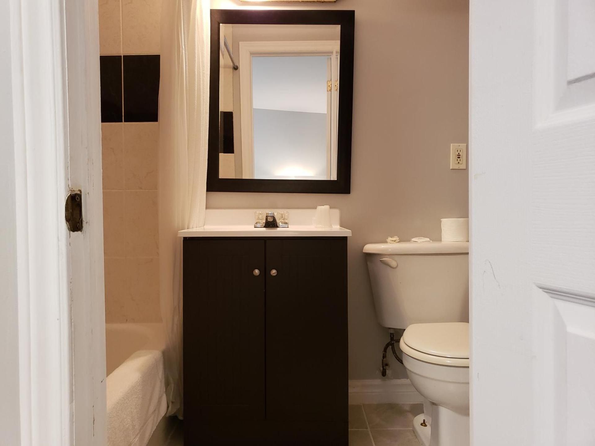 Regency Inn & Suites King Suite with Spa Bath 3