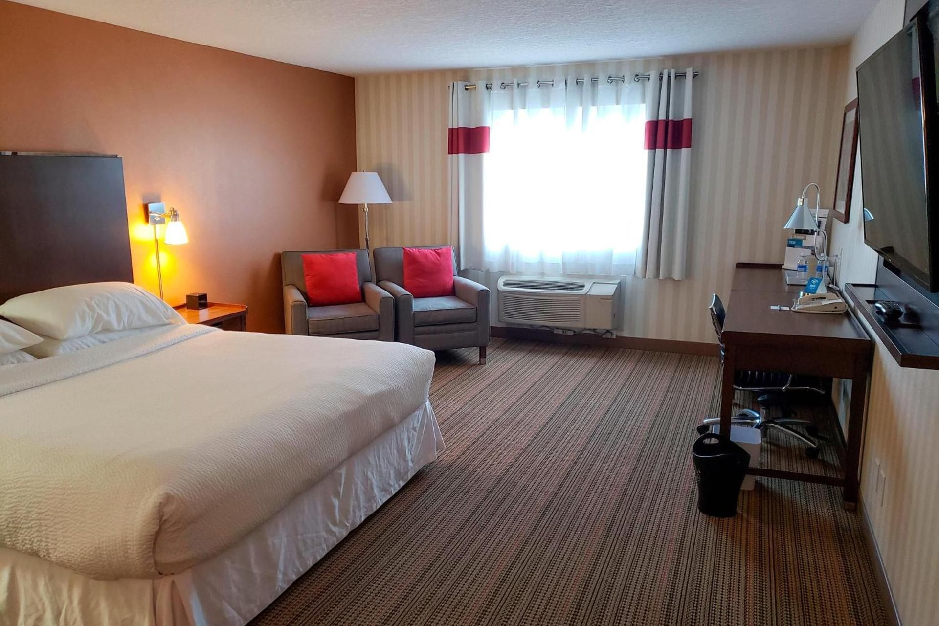 Traditional, Guest room, 1 King