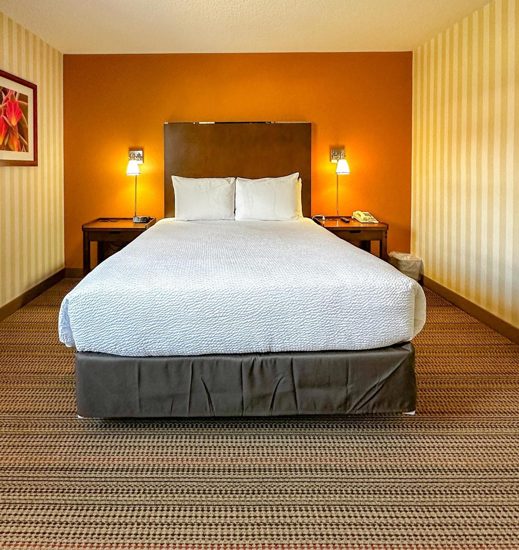 2 Bedroom Suite, 1.5 bathrooms