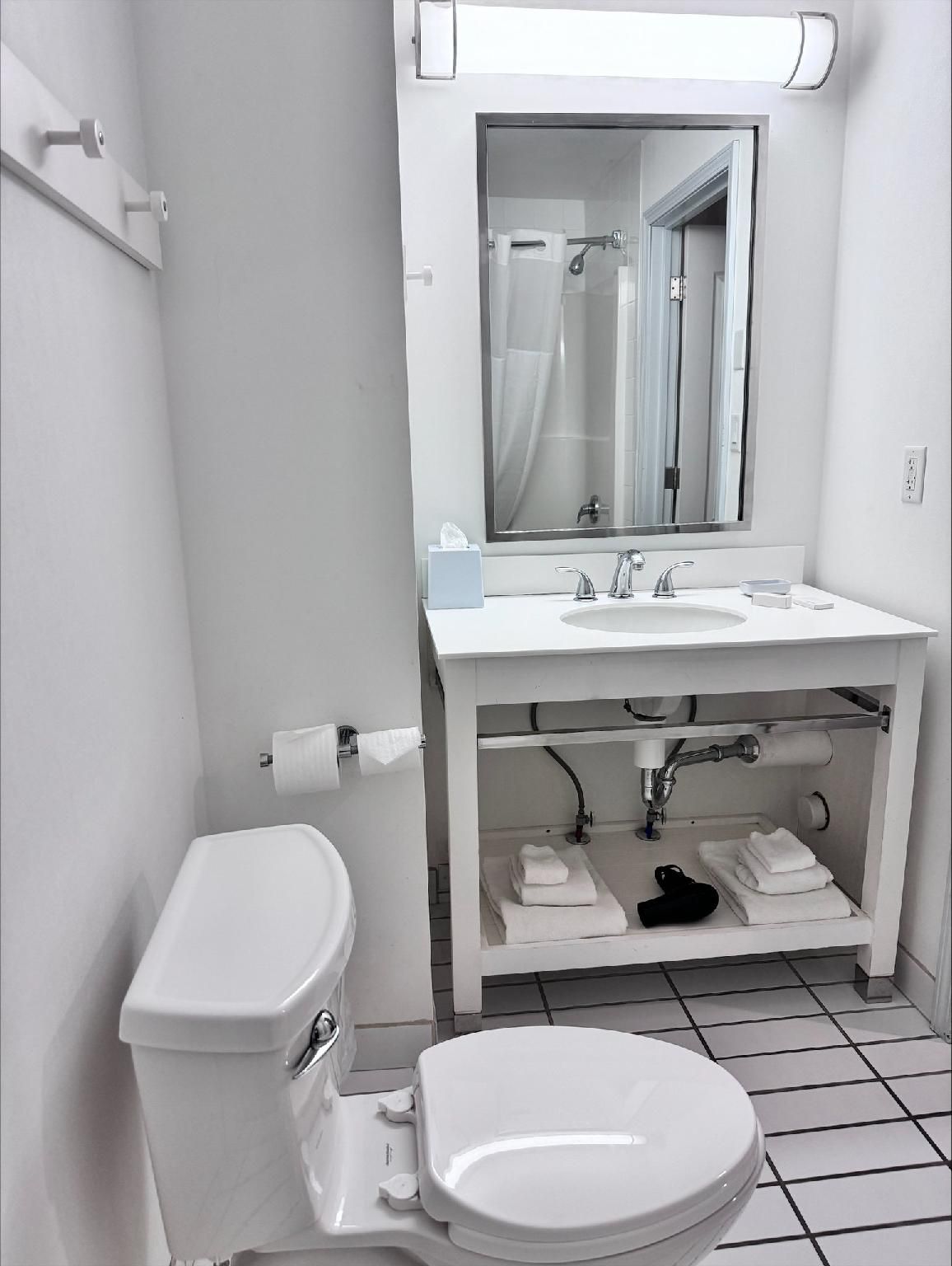 King Suite with Kitchen