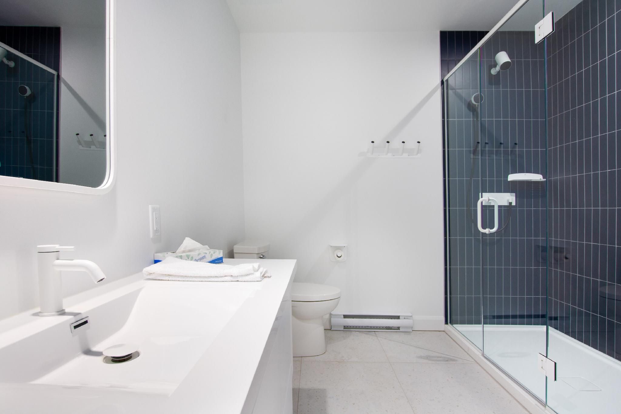 Le penthouse Saint-François with private rooftop terrace and spa - SF601
