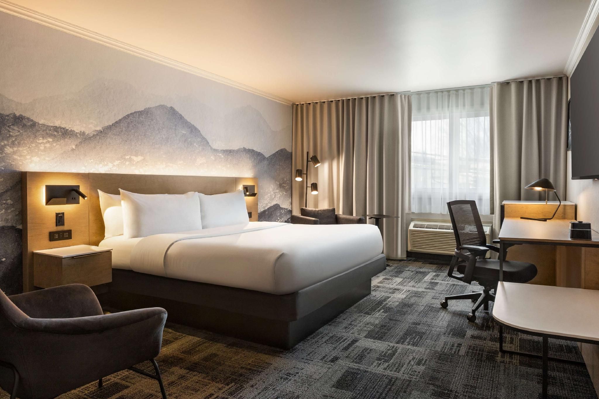 1 King Bed, Nonsmoking, Larger Room, Executive Room, Shower Only