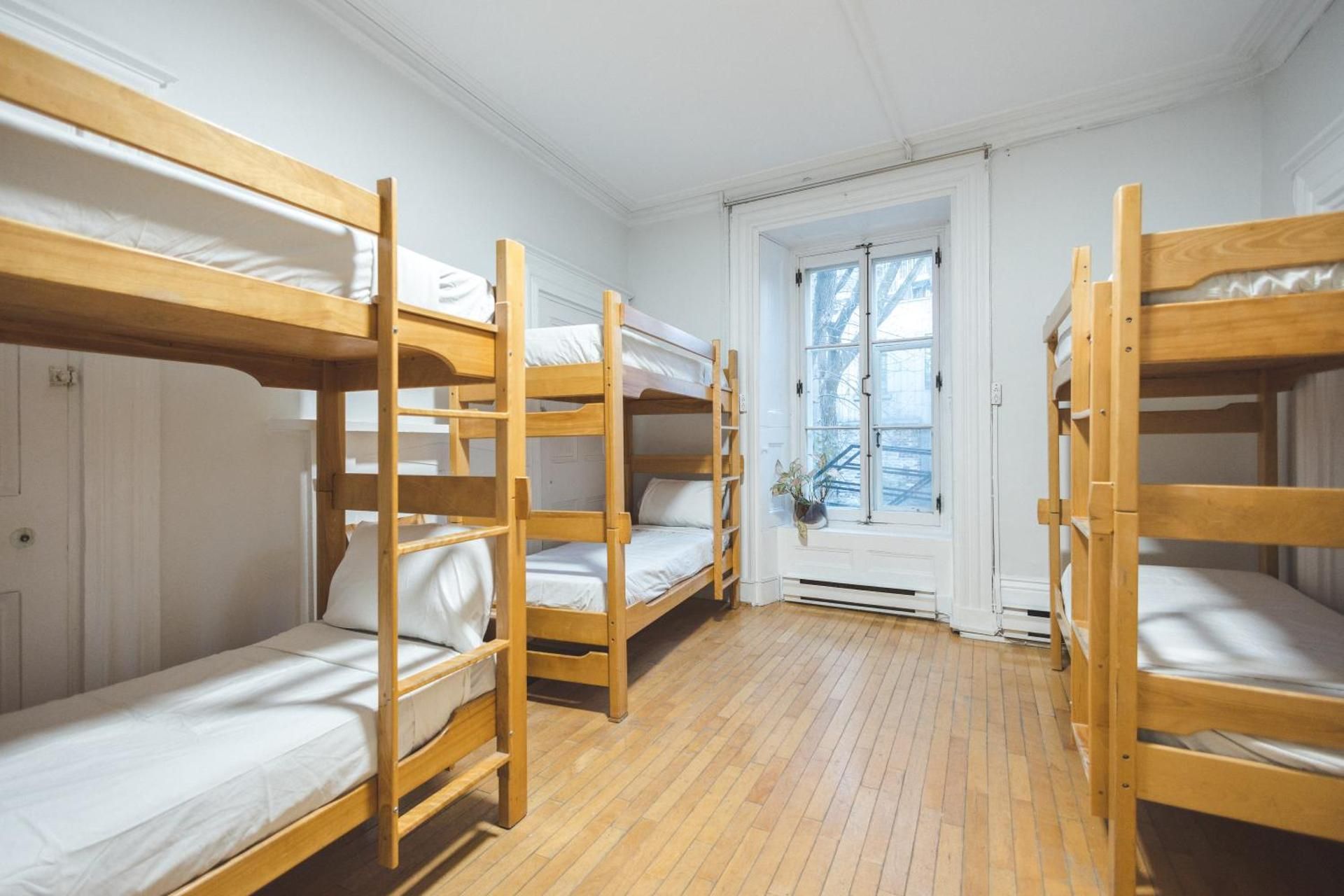 Bed in 8-Bed Dormitory Room