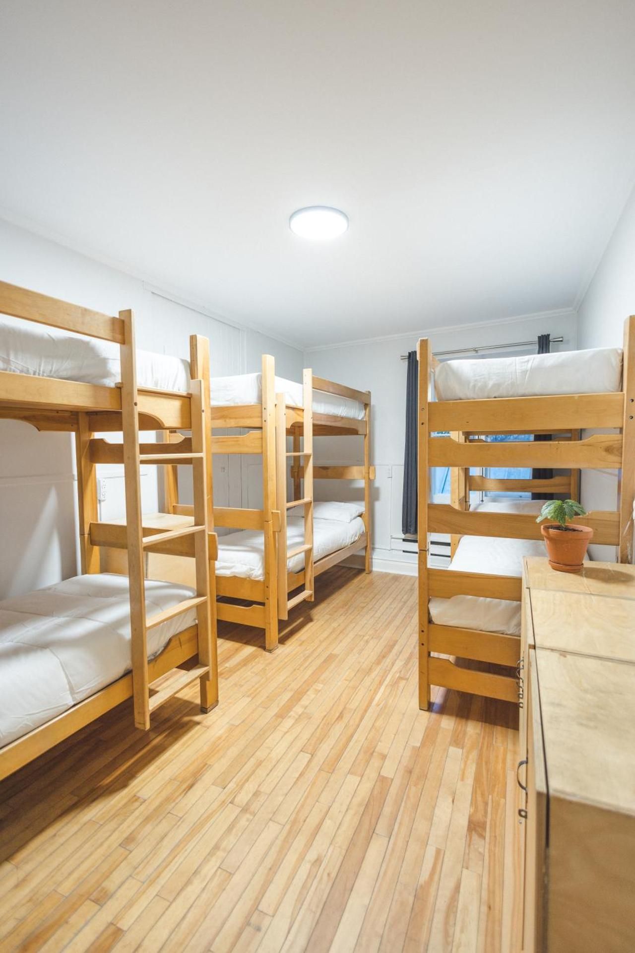 Bed in 6-Bed Female Dormitory Room (303)