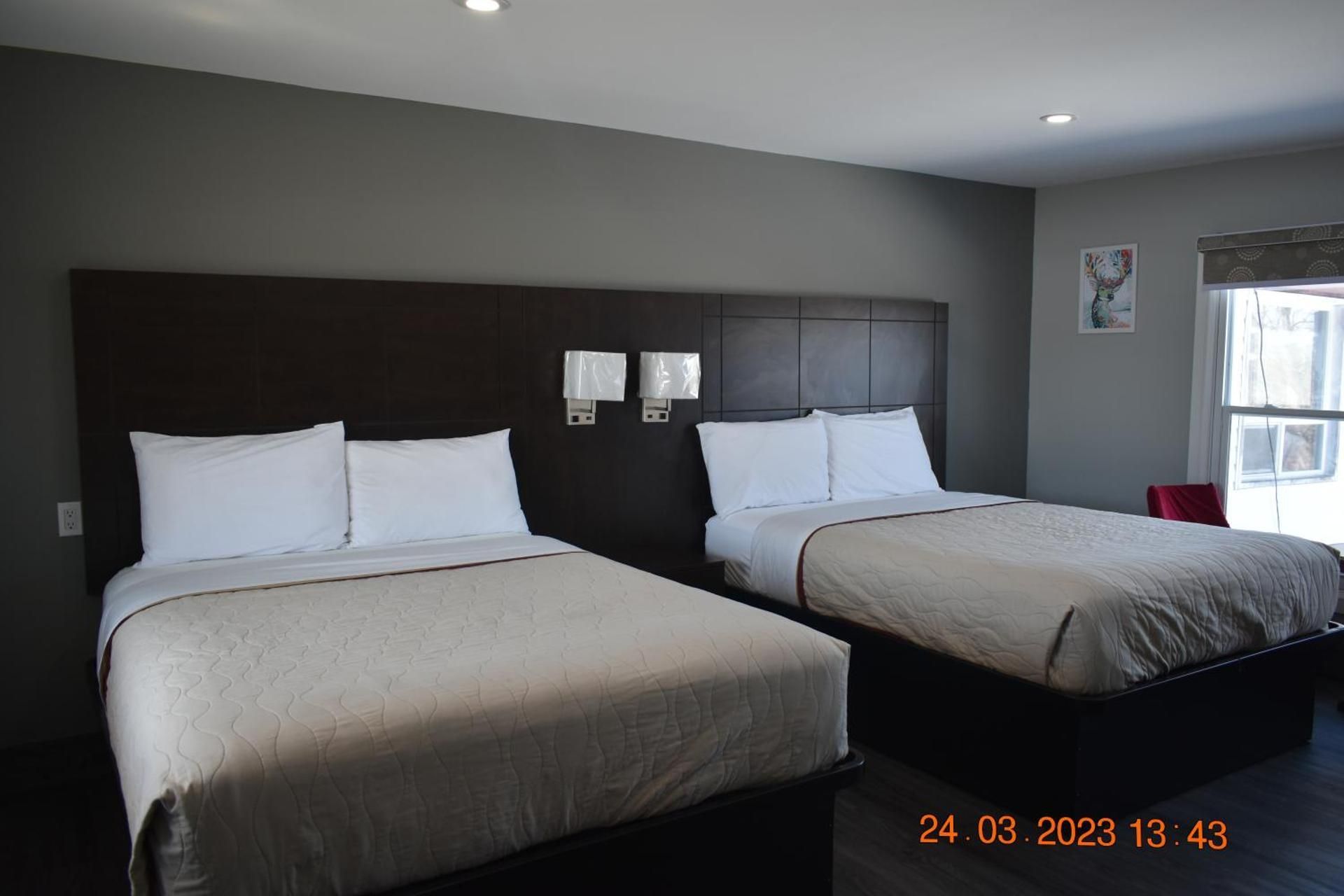 Standard Queen Room