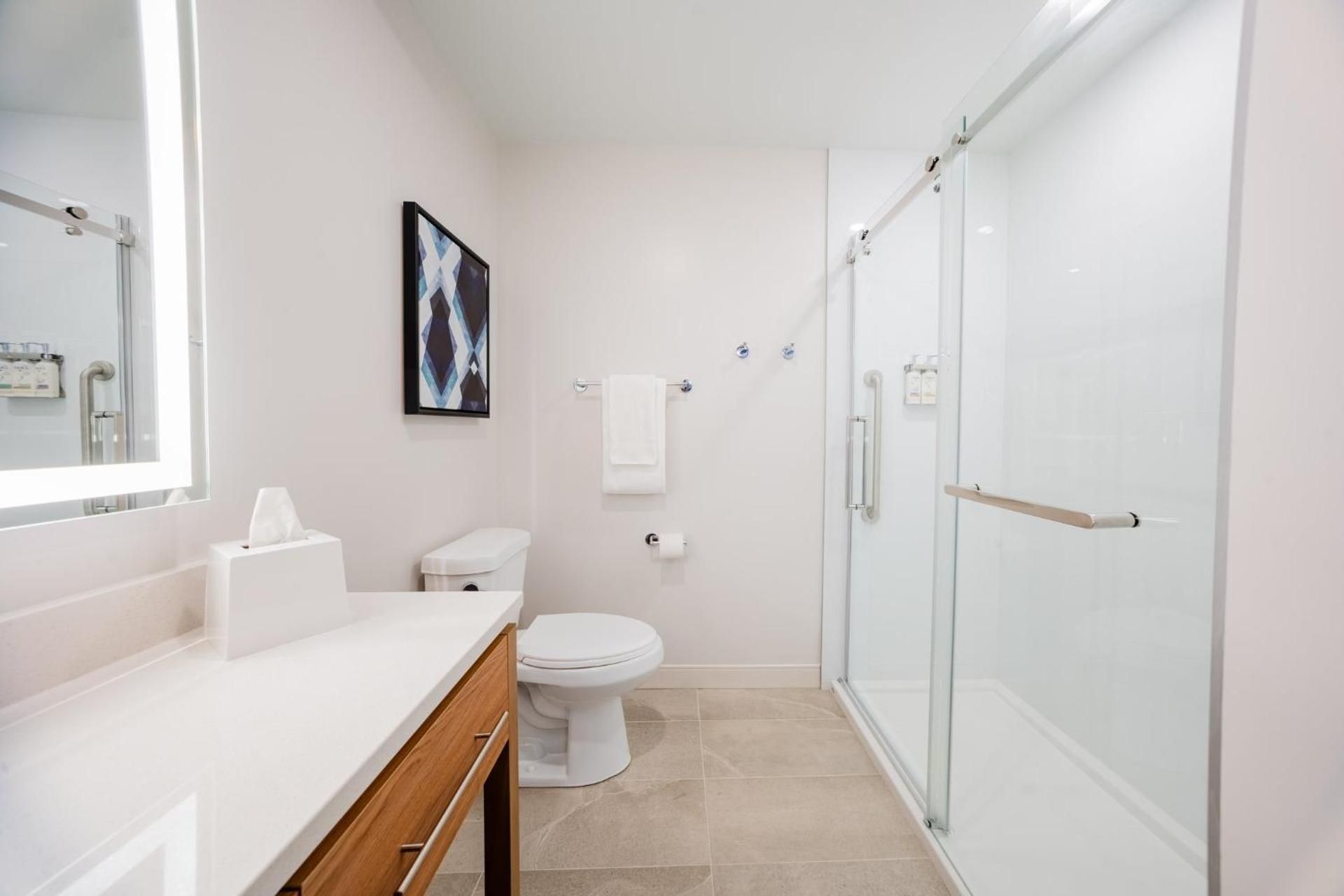 1 King One Bedroom Suite