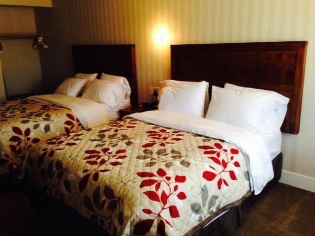 Double Room with Two Double Beds
