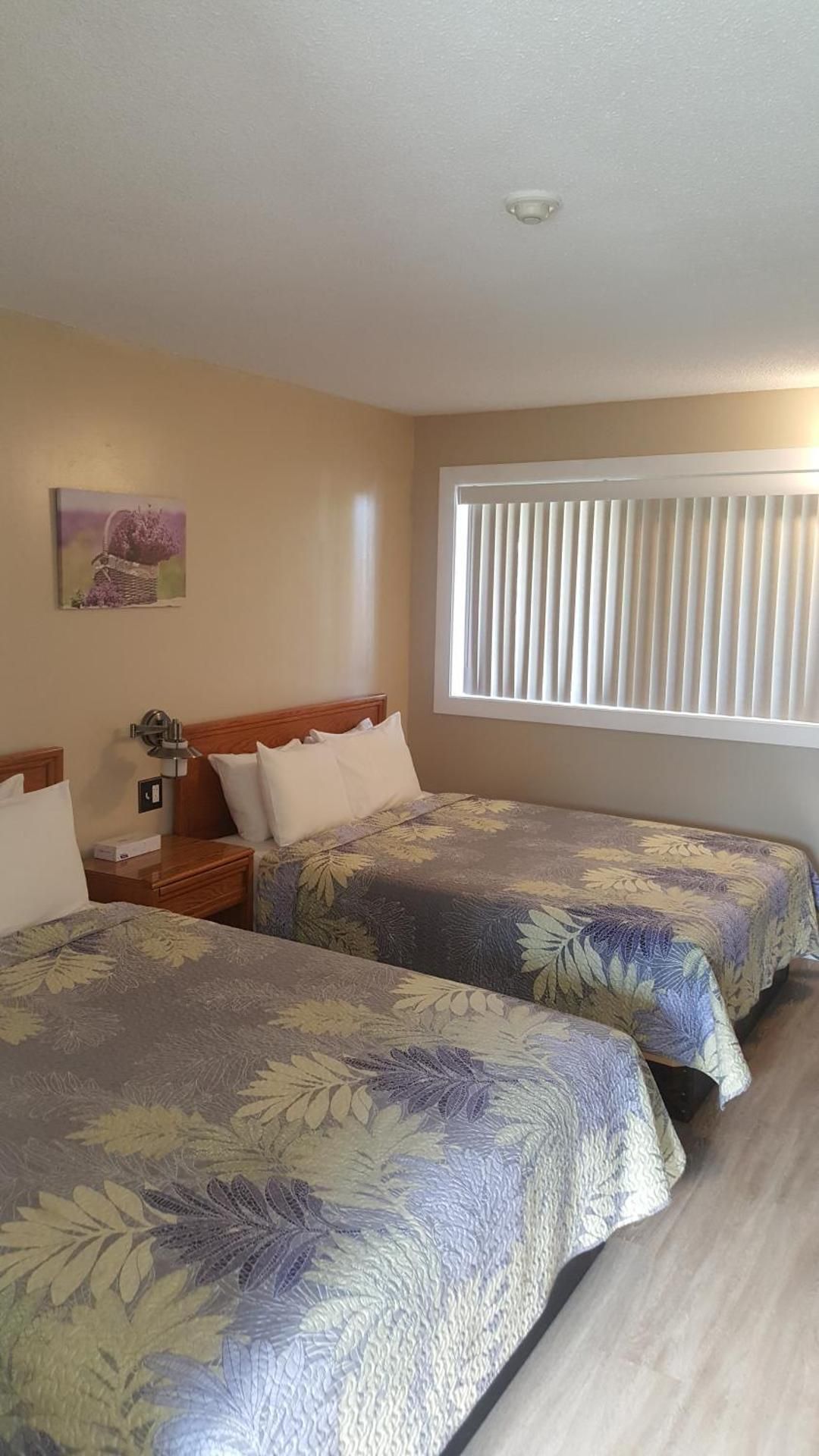 Queen Room with Two Queen Beds Room with Kitchenette