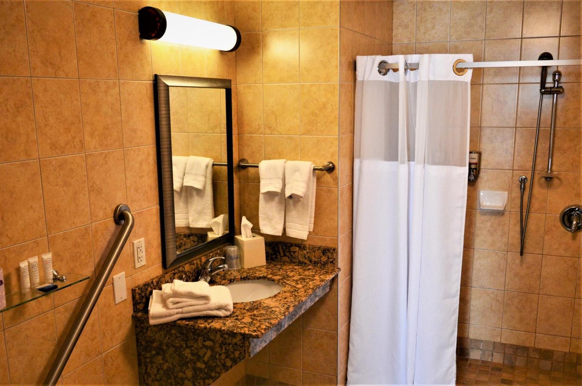 Waterloo Suites Hotel, Trademark Collection by Wyndham 1 King Bed, 1-Bedroom, Mobility Accessible Suite, Roll-In Shower, Non-Smoking 2