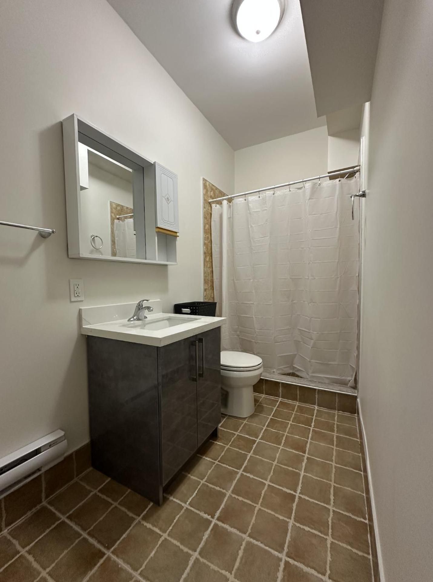 Furnished Simcoe Lofts One-Bedroom Standard Apartment 2