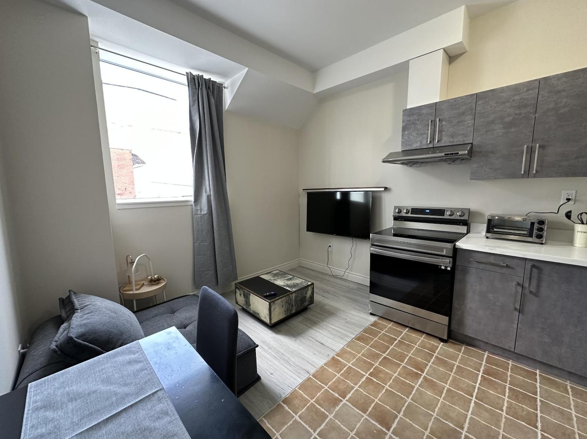 Furnished Simcoe Lofts One-Bedroom Standard Apartment 3