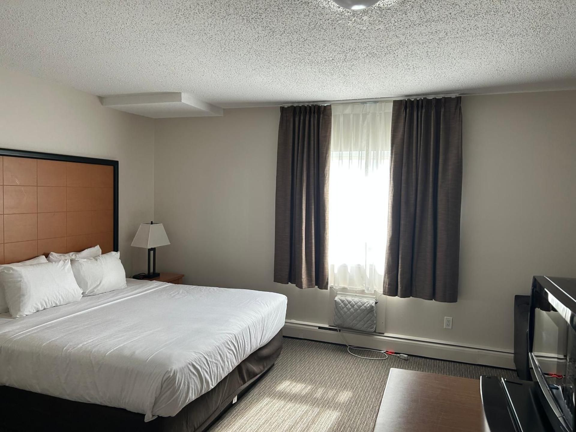 Deluxe King Suite