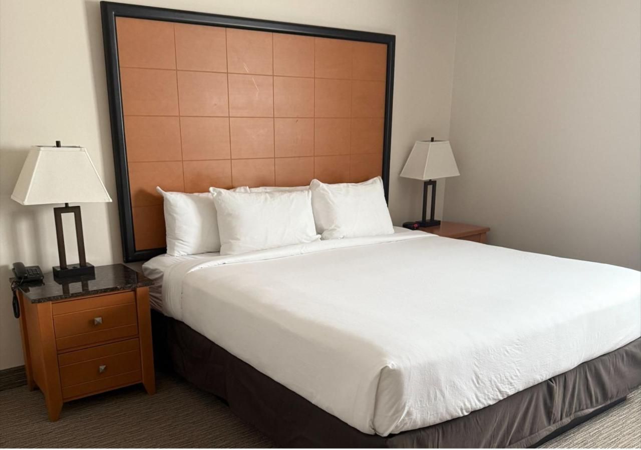 Superior King Suite