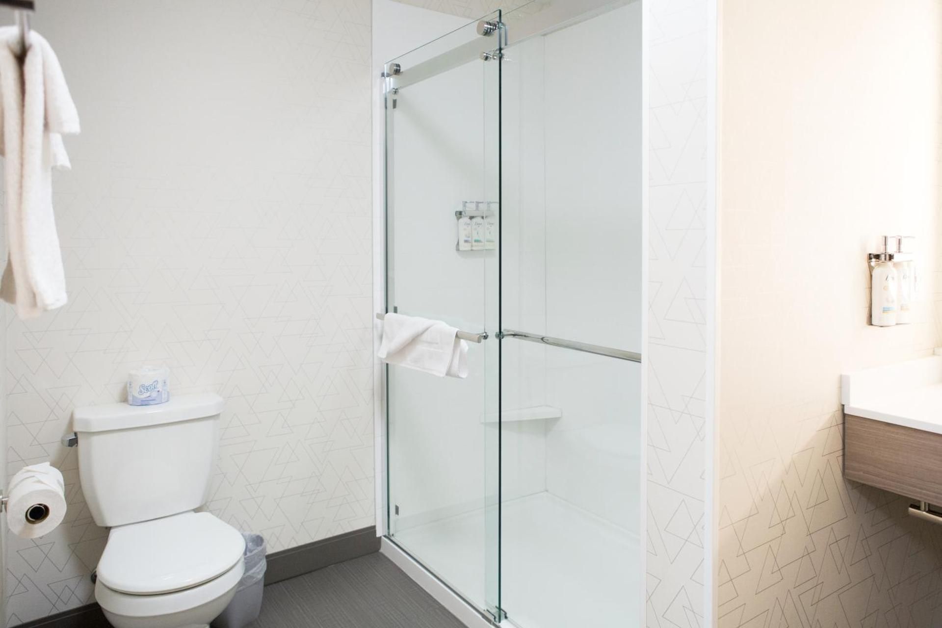 1 King Suite Walk In Shower