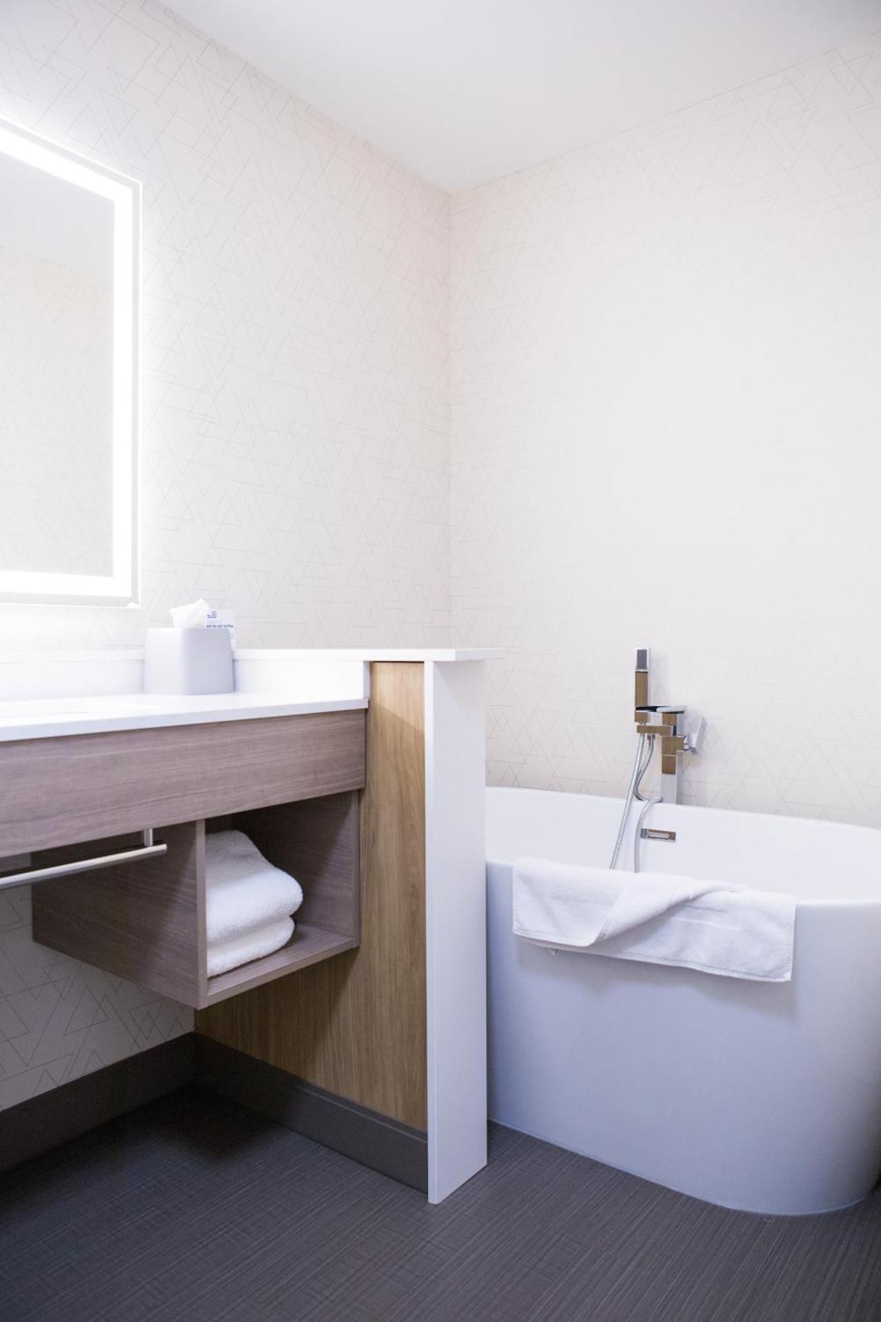 One-Bedroom King Suite with Walk-In Shower and Tub