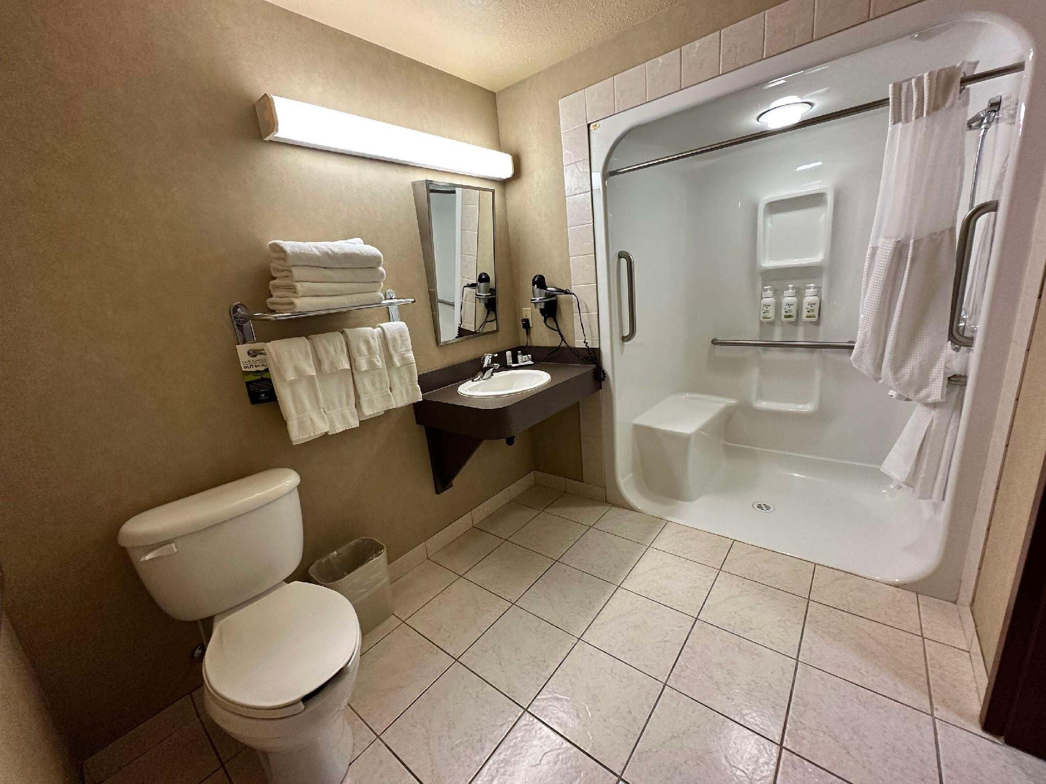 1 King Bed, Nonsmoking, Accessible