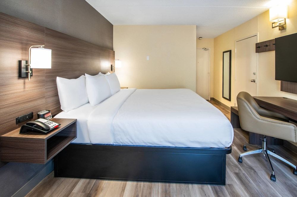 Standard Room, 1 King Bed, Non Smoking