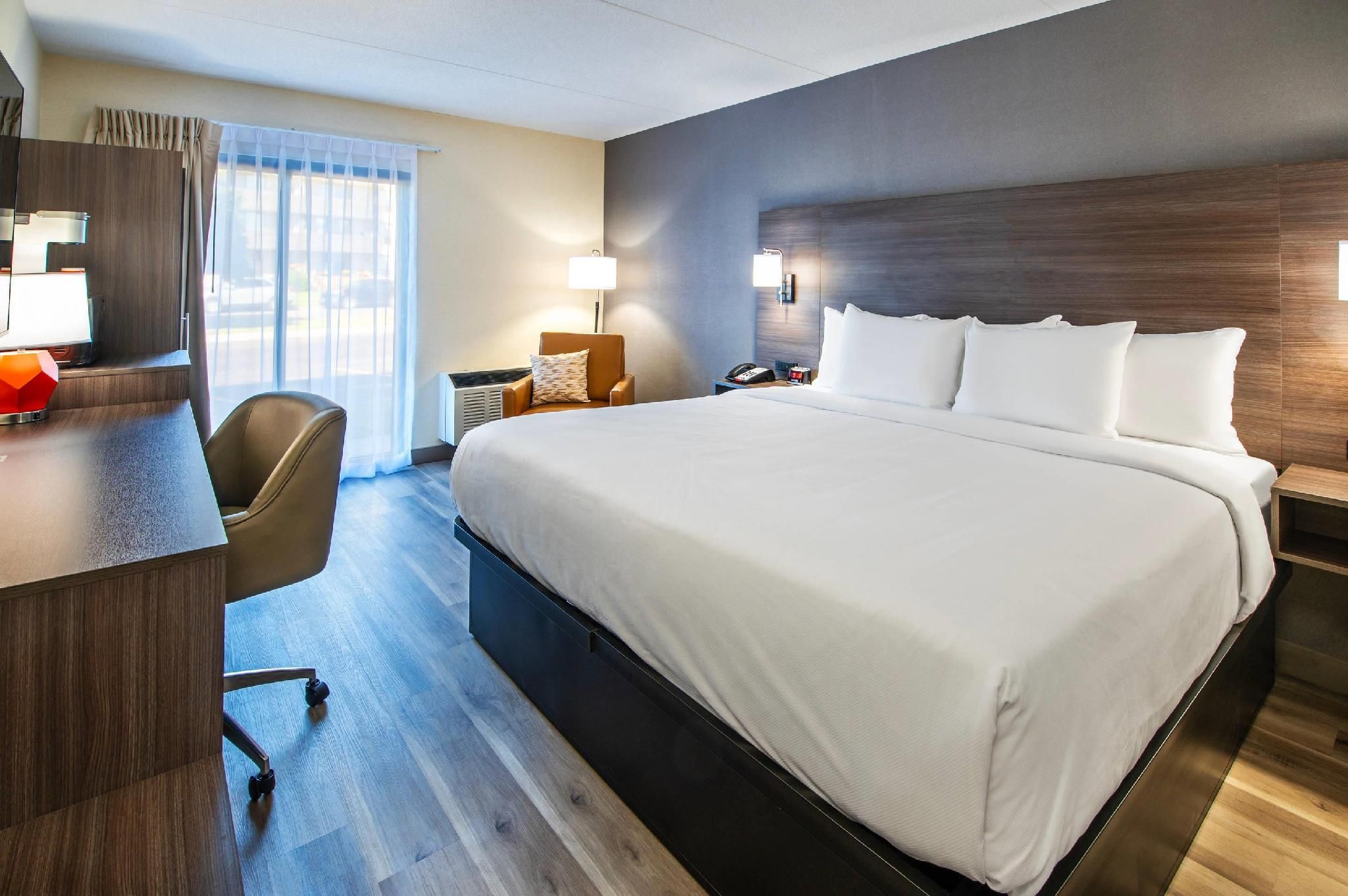 1 King Bed, Nonsmoking