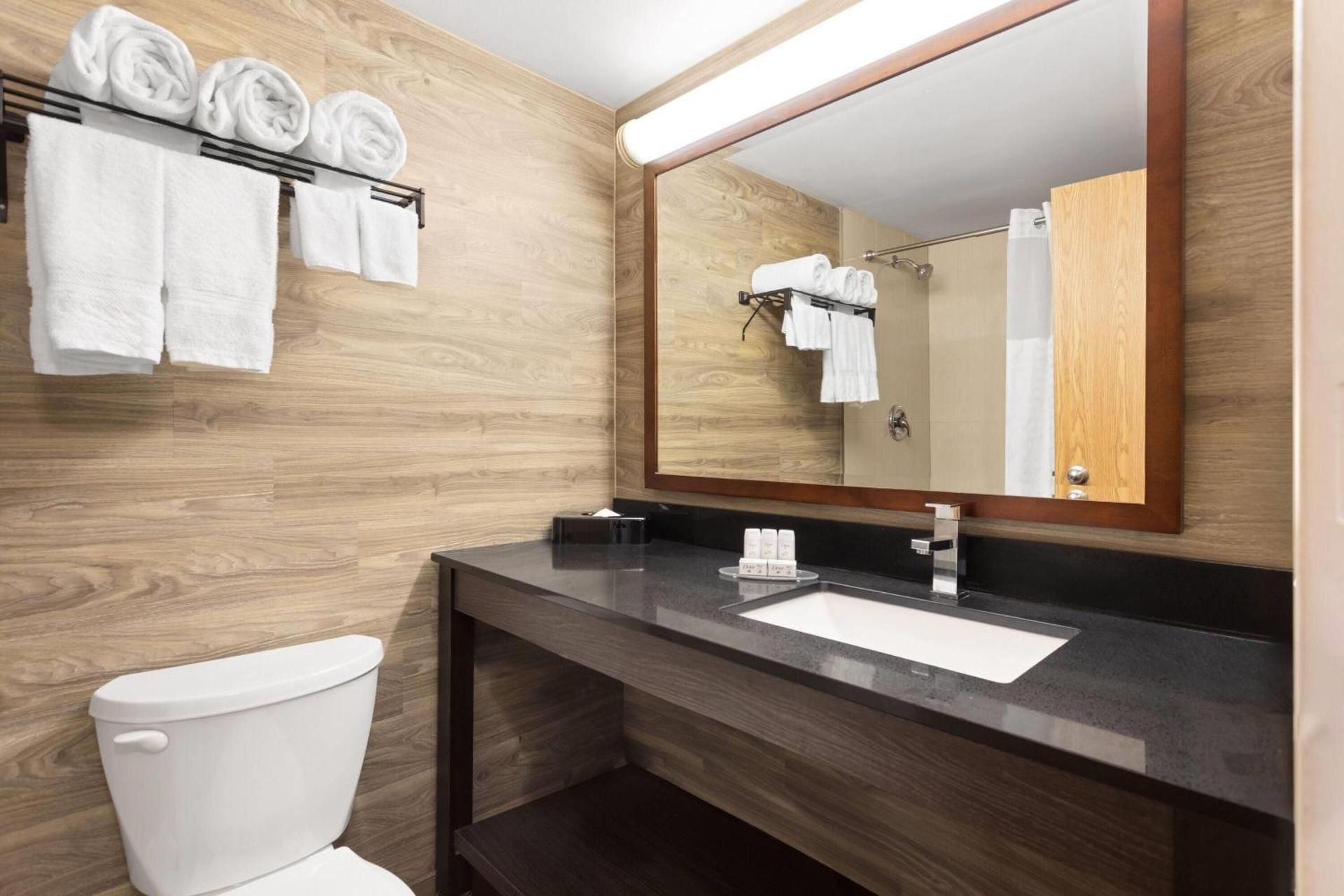 1 King Bed, Studio Suite, Non-Smoking