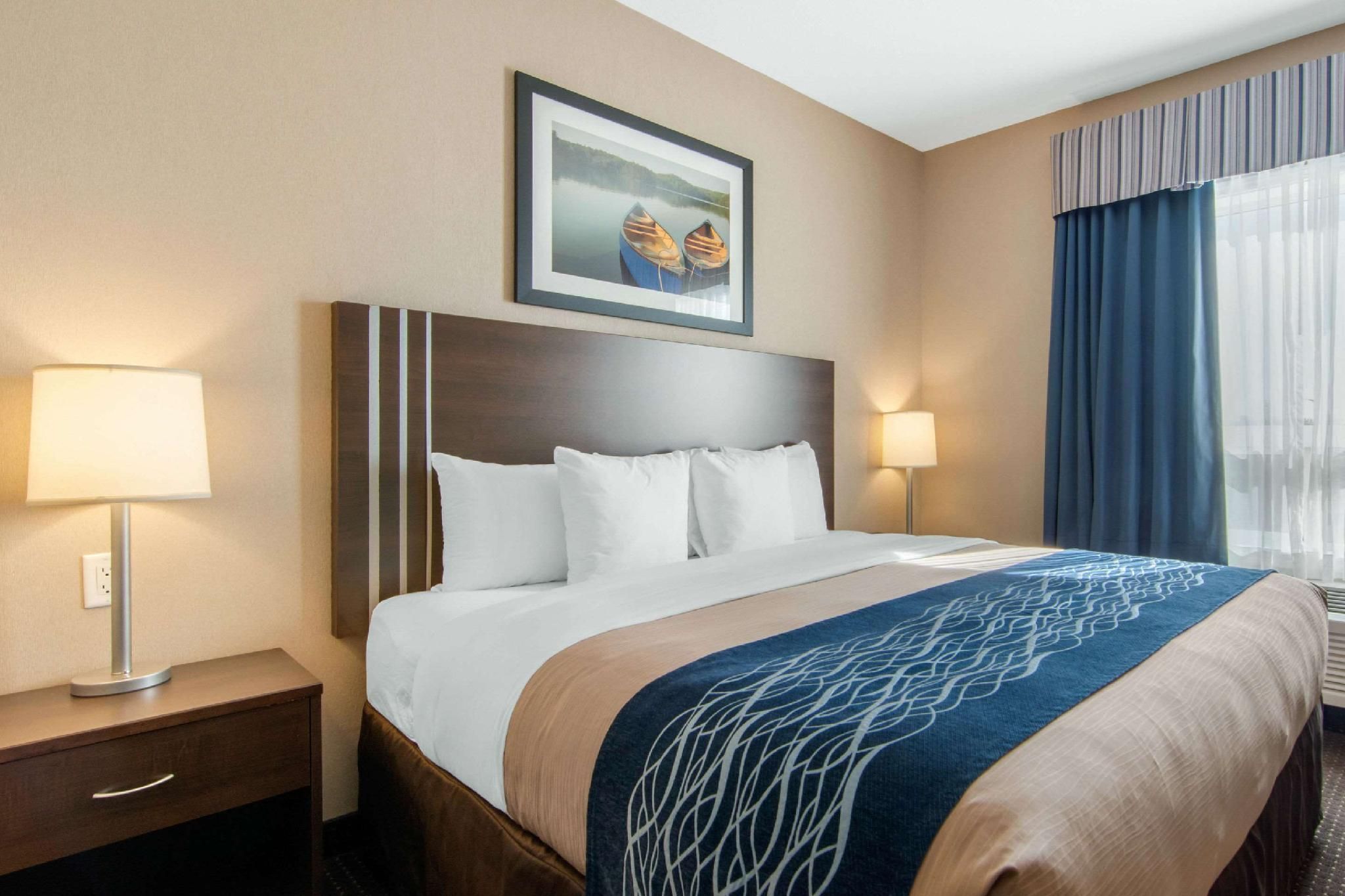Suite with 1 King bed and Sofabed - No Smoking