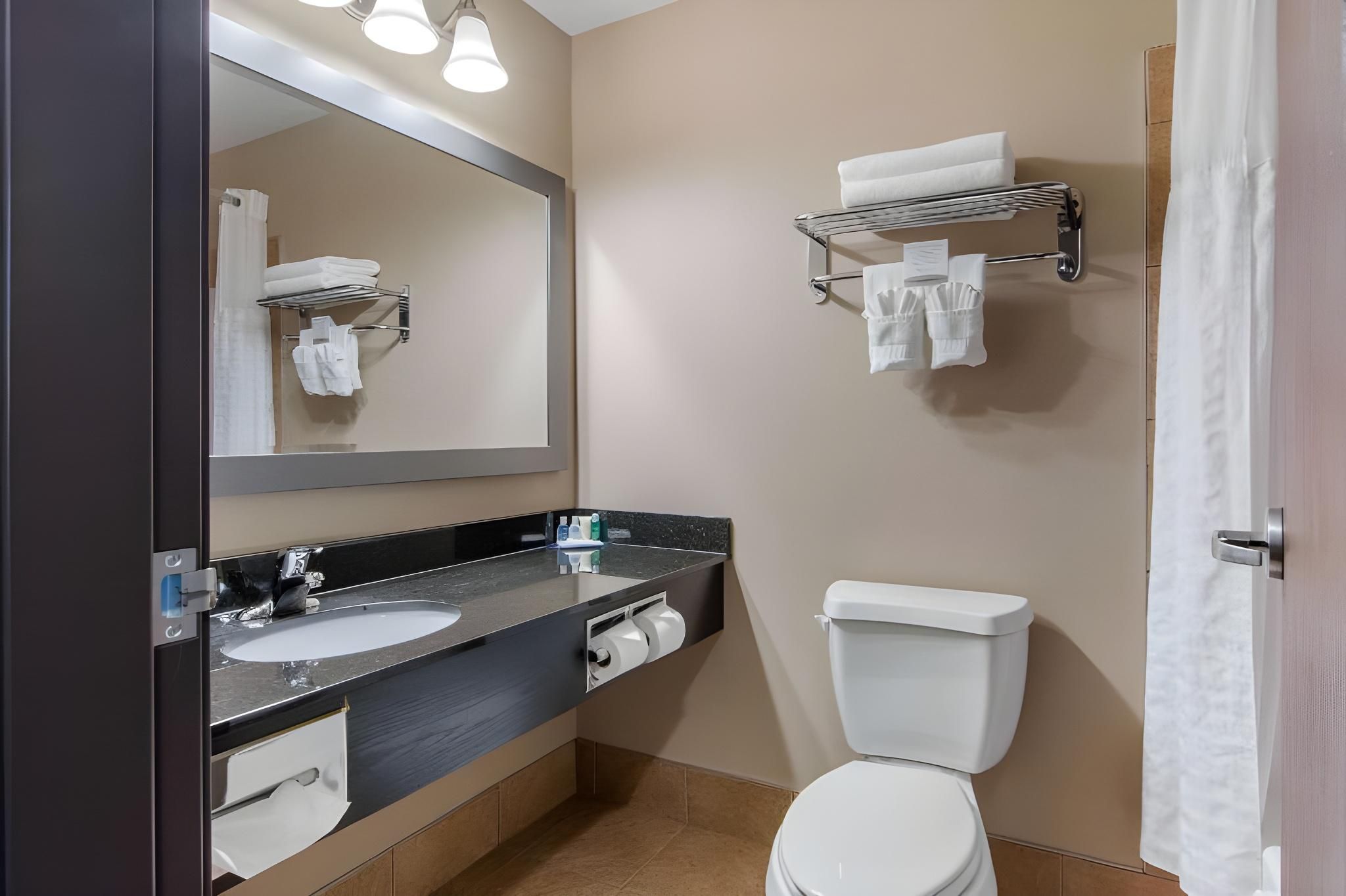 Suite with 1 King Bed - No Smoking