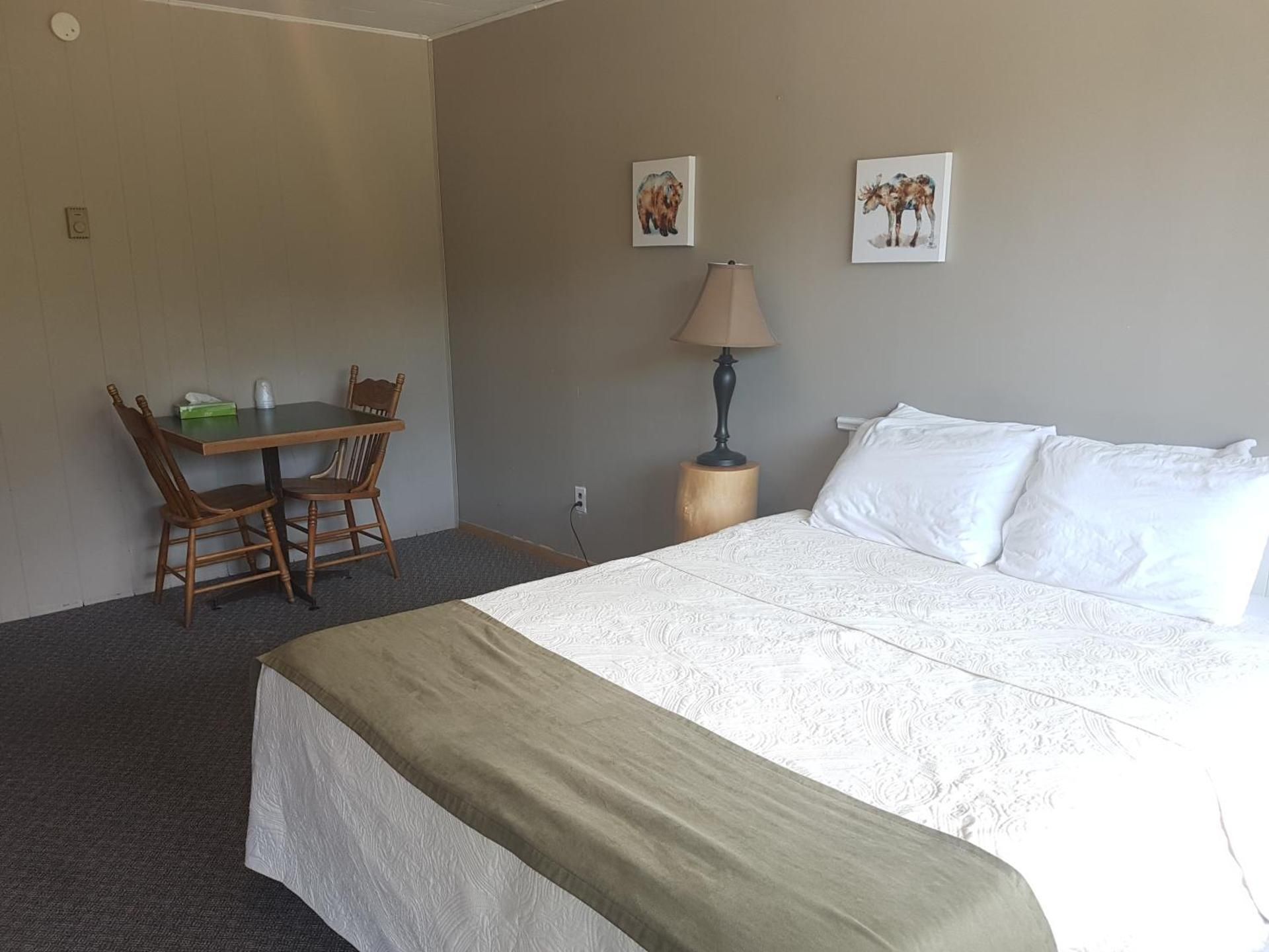 Standard Suite