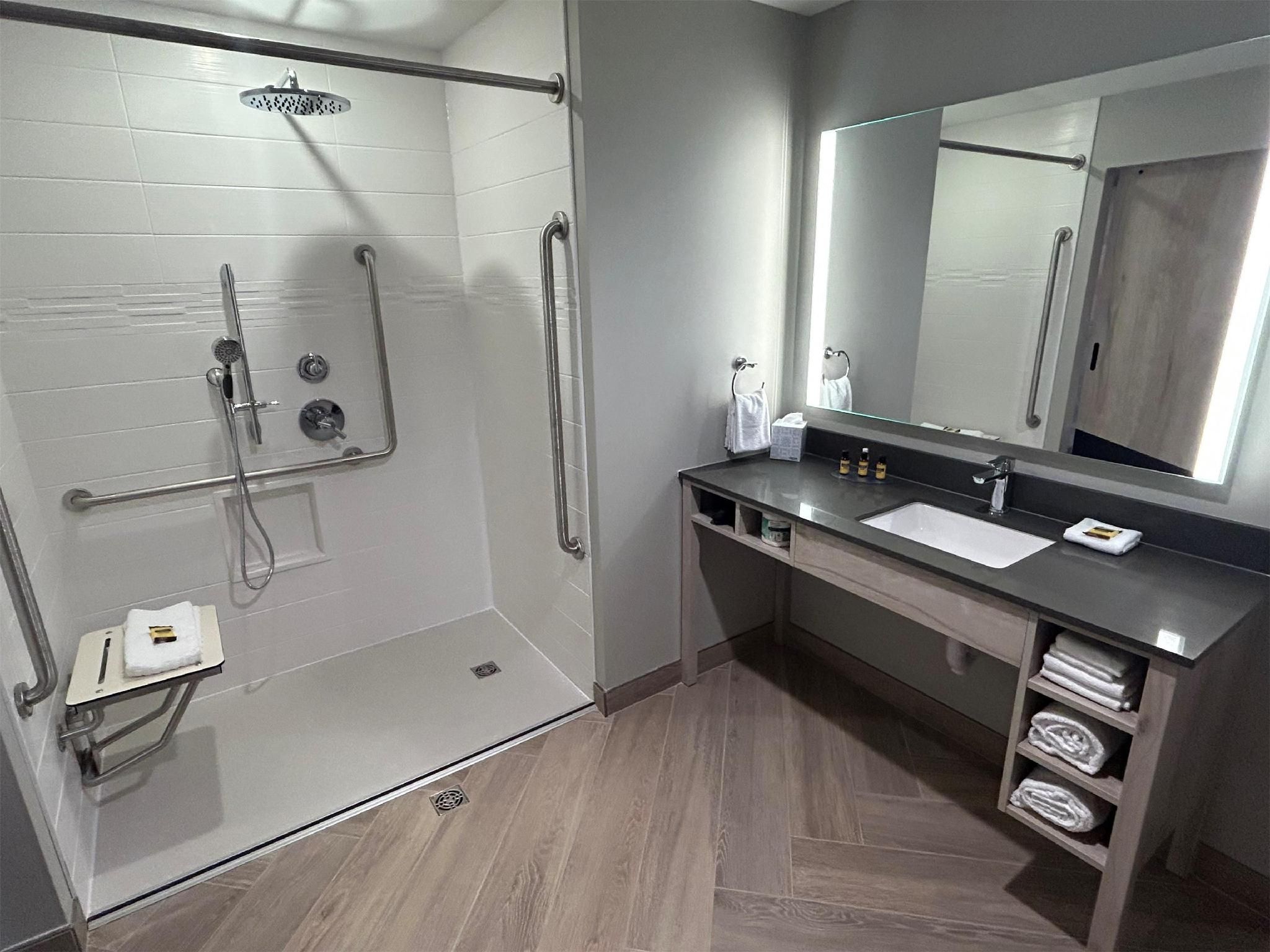 Accessible - 1 King,Mobility Accessible,Rollin Shower,Sofabed,Wifi,Non Smoking