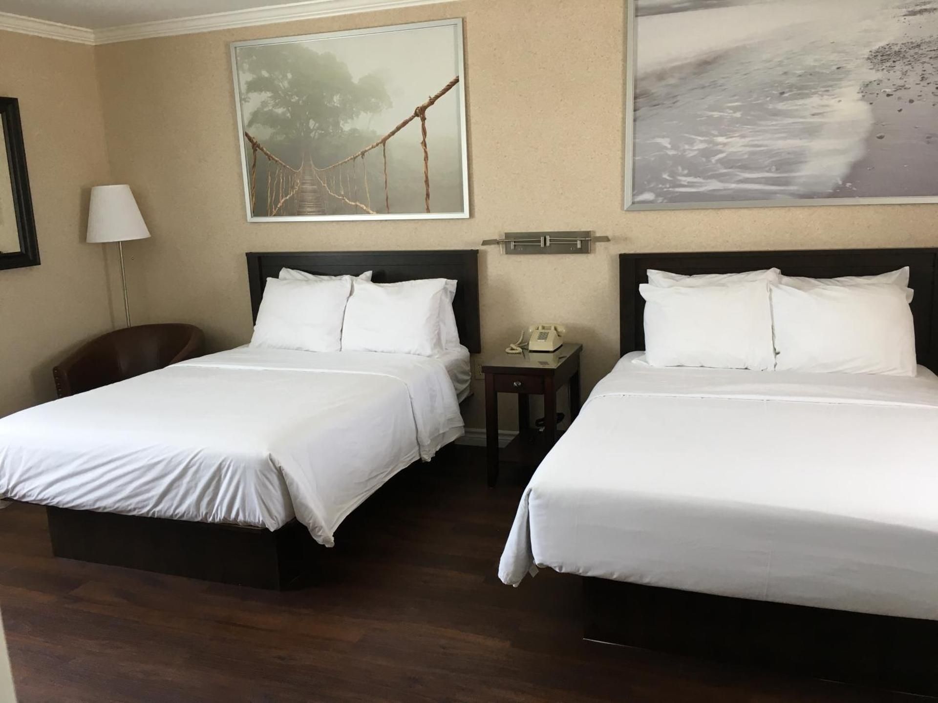 Double Room with Two Double Beds