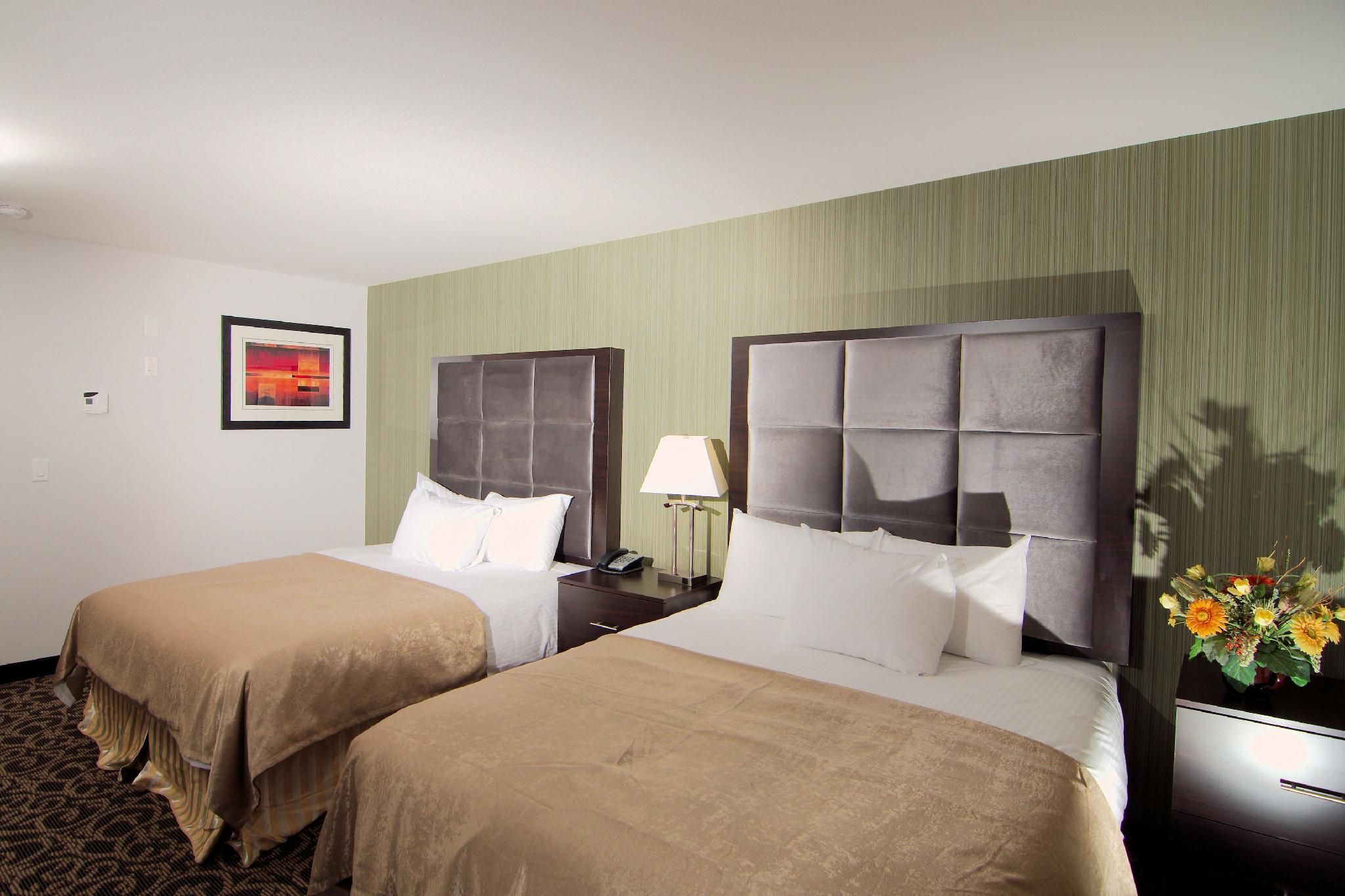 Kitchenette Suite- 2 queen beds