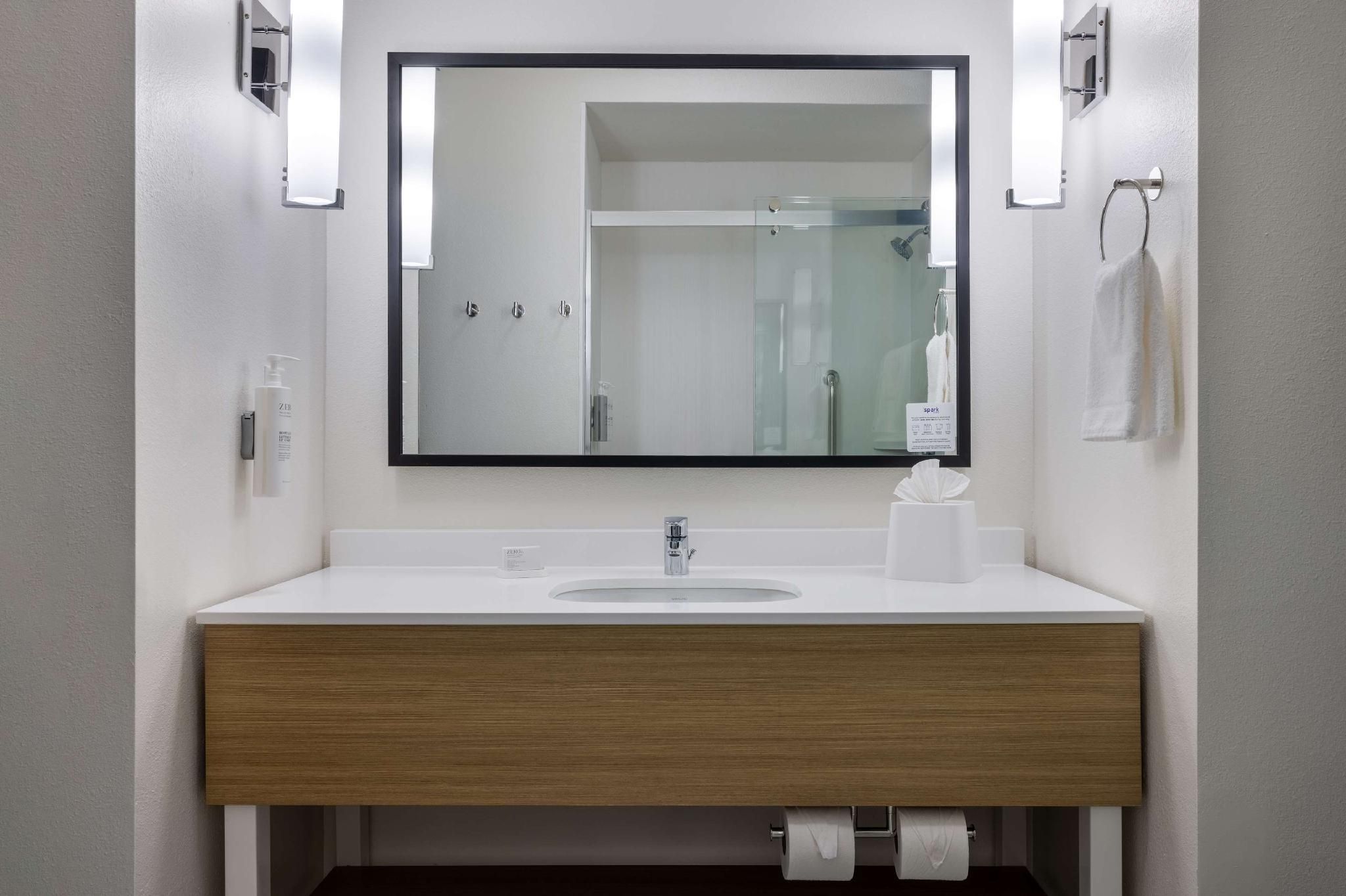 Spark by Hilton Nacogdoches 1 KING BED WITH SOFABED 3