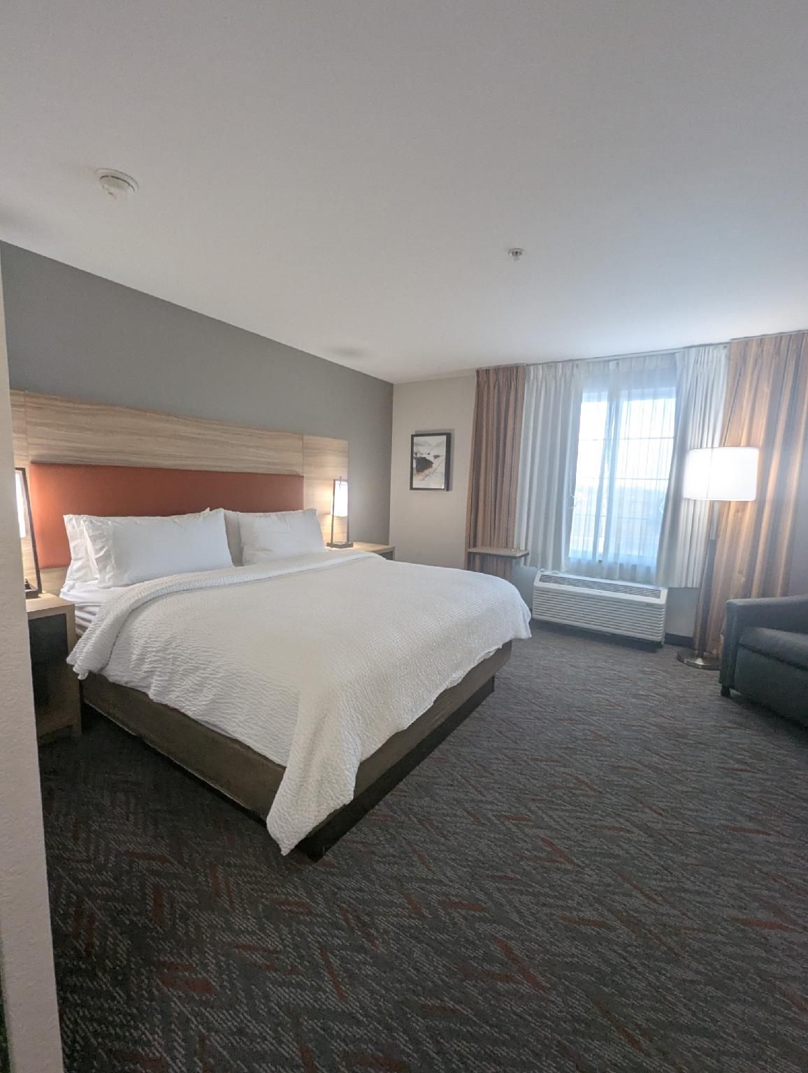 1 King Bed Studio Suite Non-Smoking