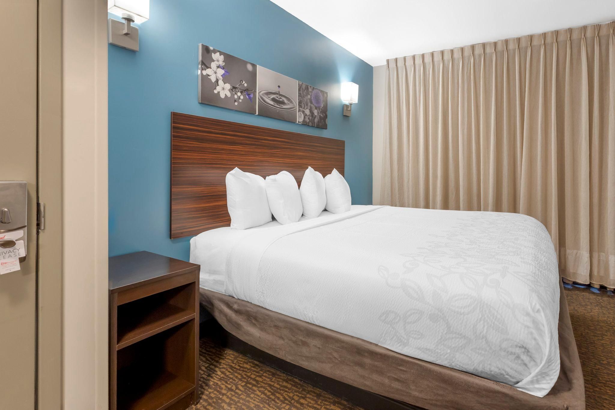 Premium King Non-Smoking (Get More: Upgraded Bedding and Snack Box)