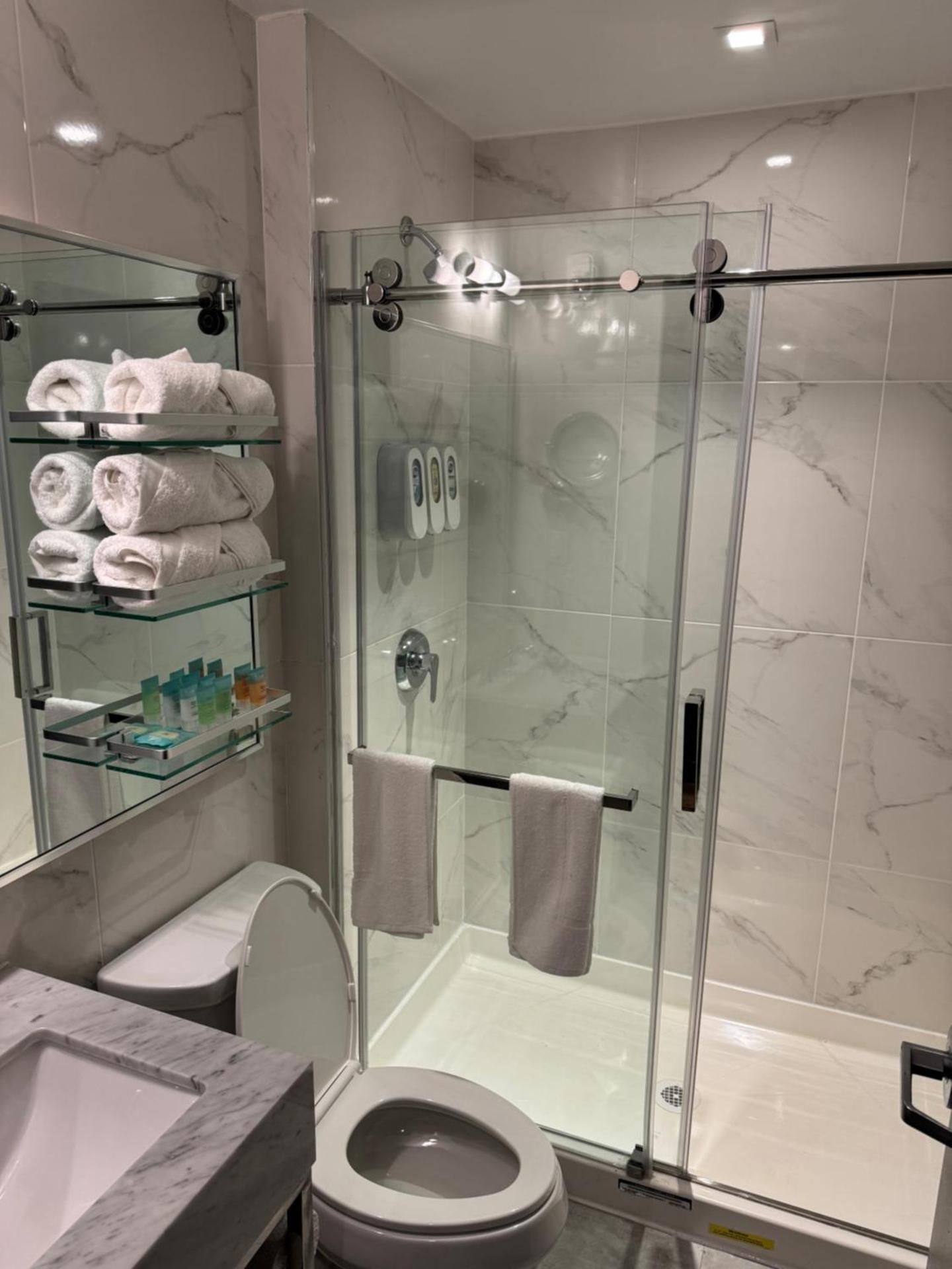 Hotel Mirage Brooklyn Superior Queen Bed