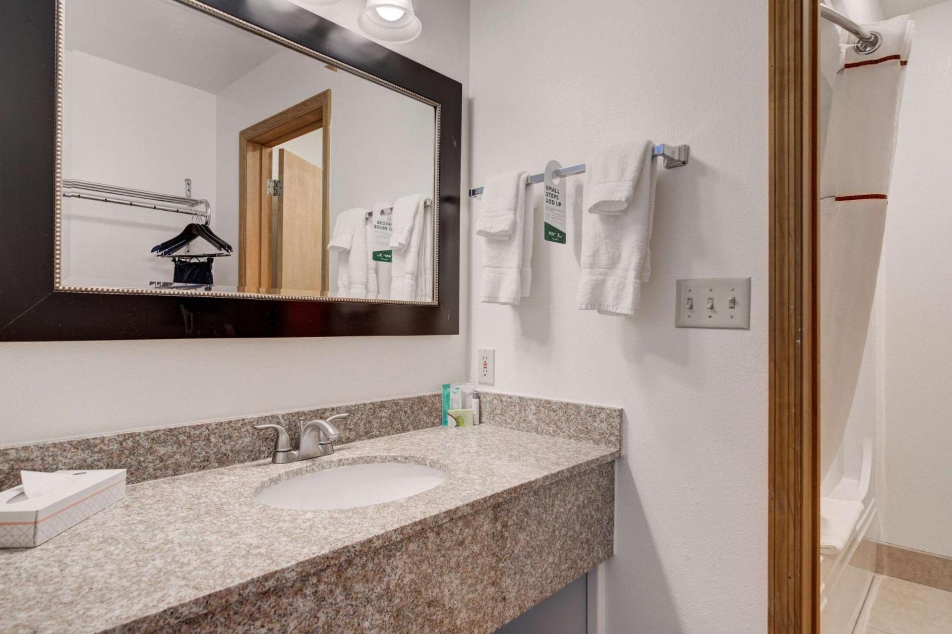 Efficiency Queen Suite with Two Queen Beds and Mountain View - Non Smoking