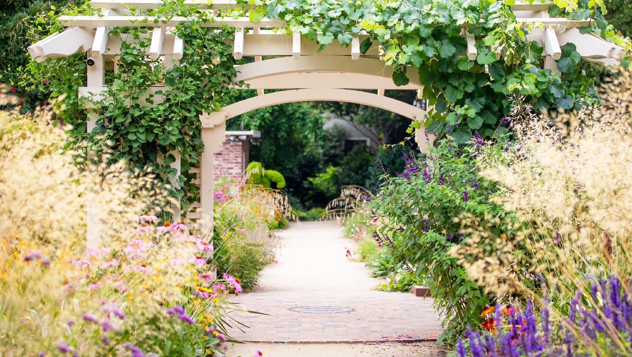 surrounding environment