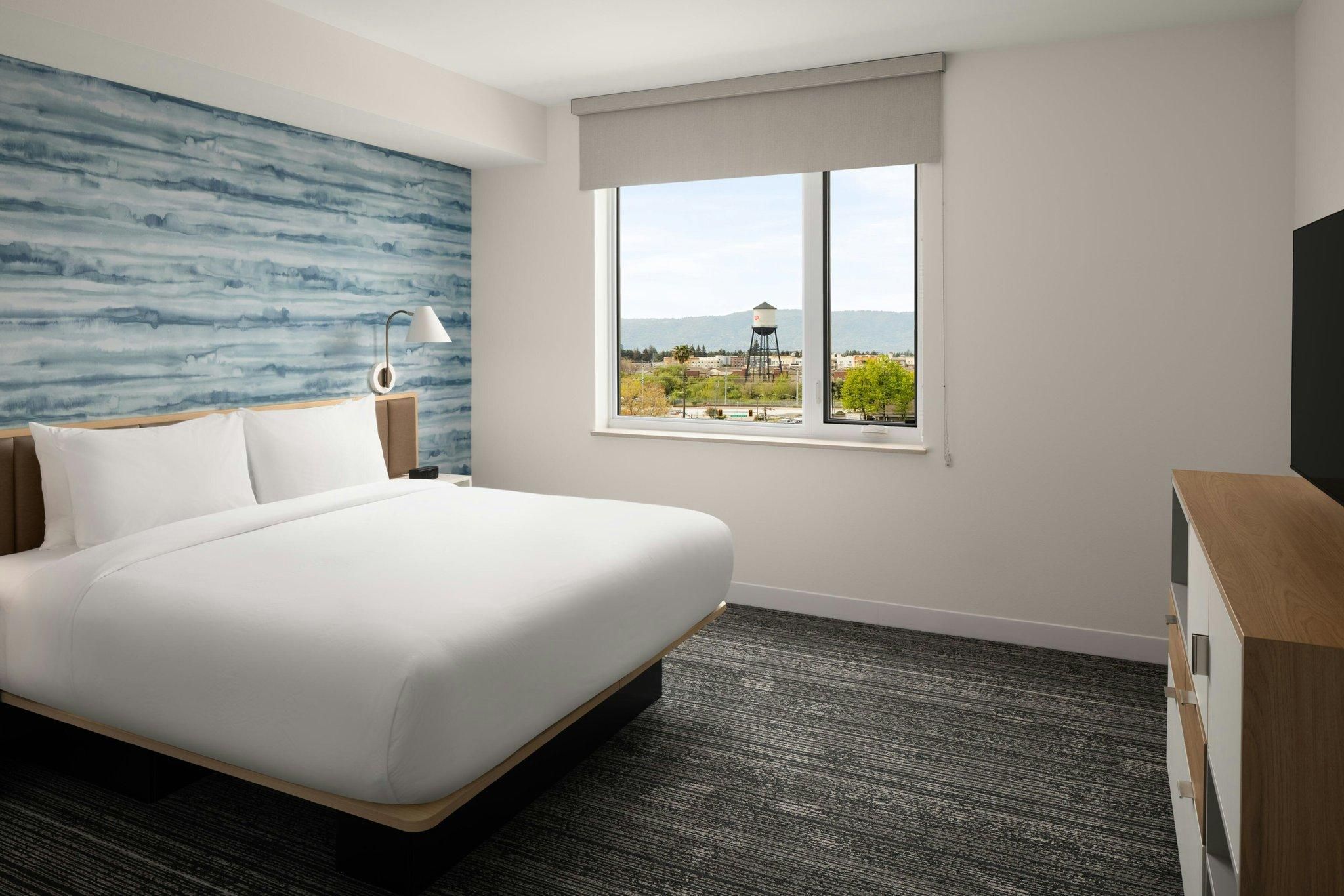 2 Bedroom Suite, 2 Bedroom Suite, Bedroom 1: 1 King, Bedroom 2: 1 King, Non-Private Sofa bed