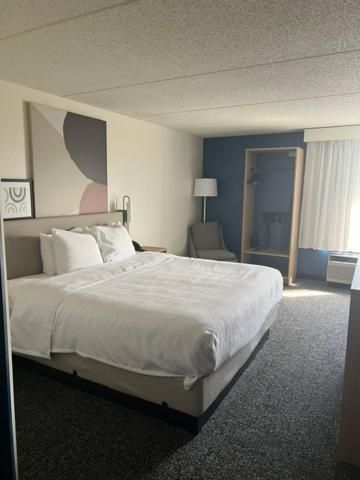1 King Bed 