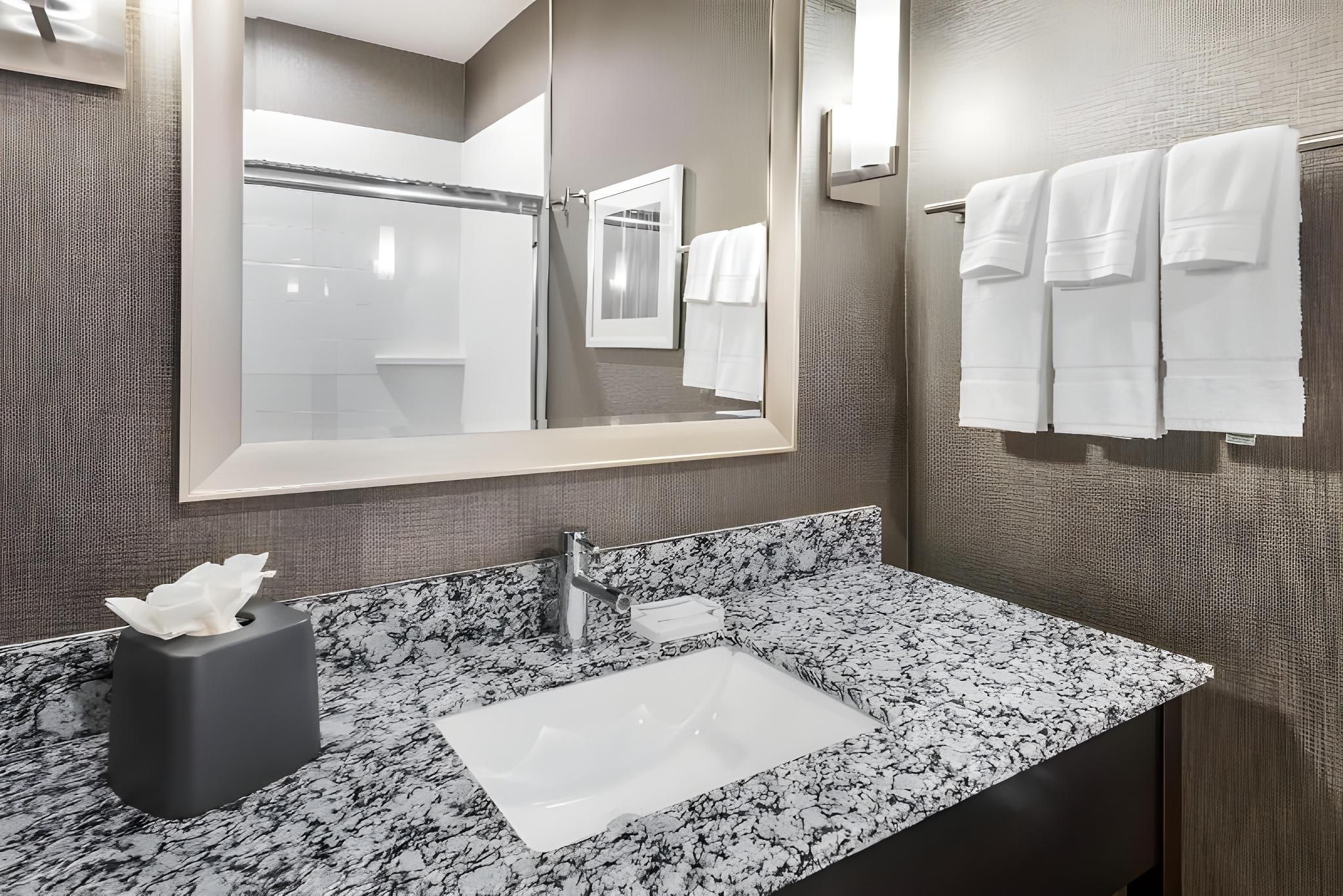 Holiday Inn & Suites Silicon Valley - Milpitas by IHG Standard Room 3