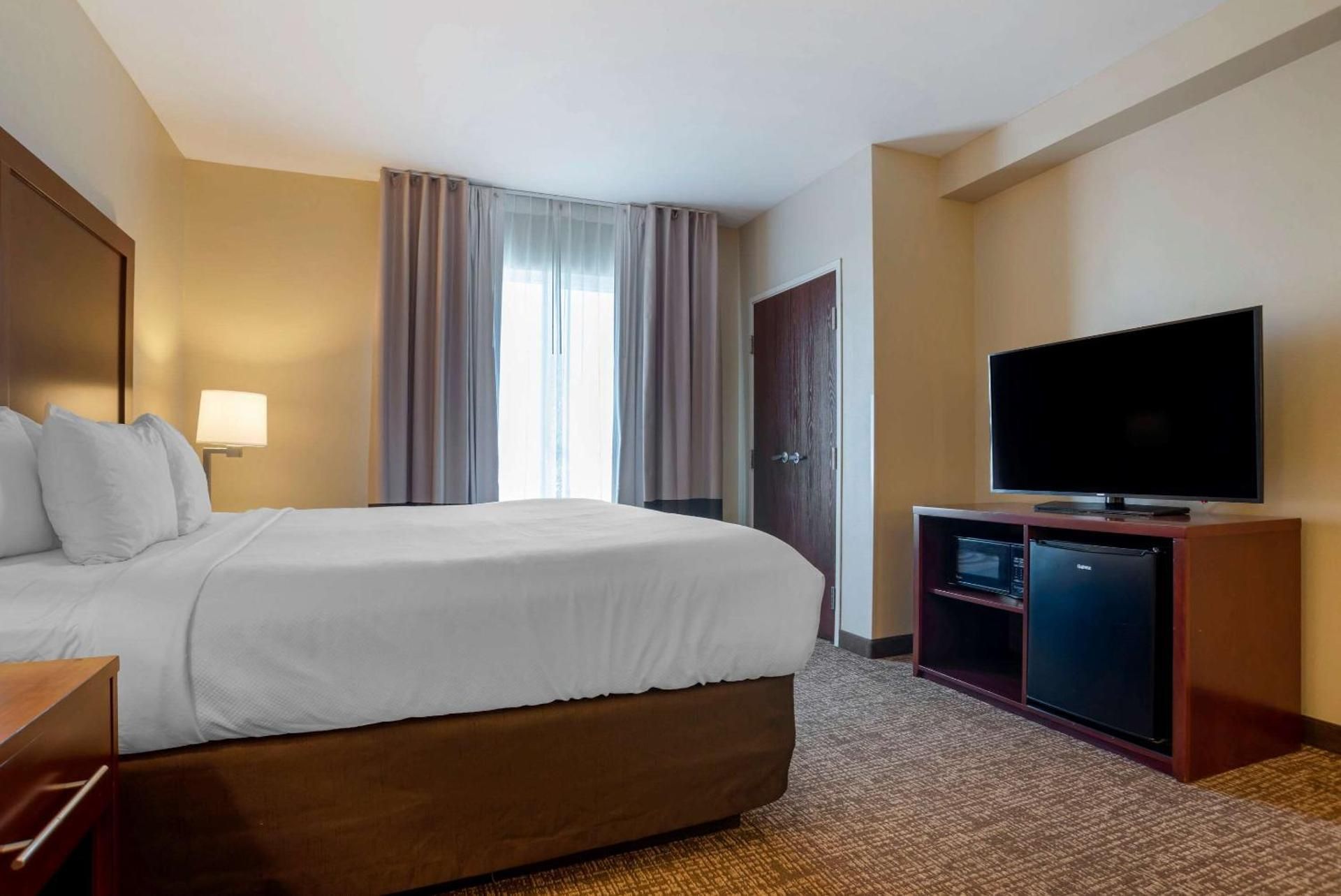 1 King Bed, Suite, Nonsmoking