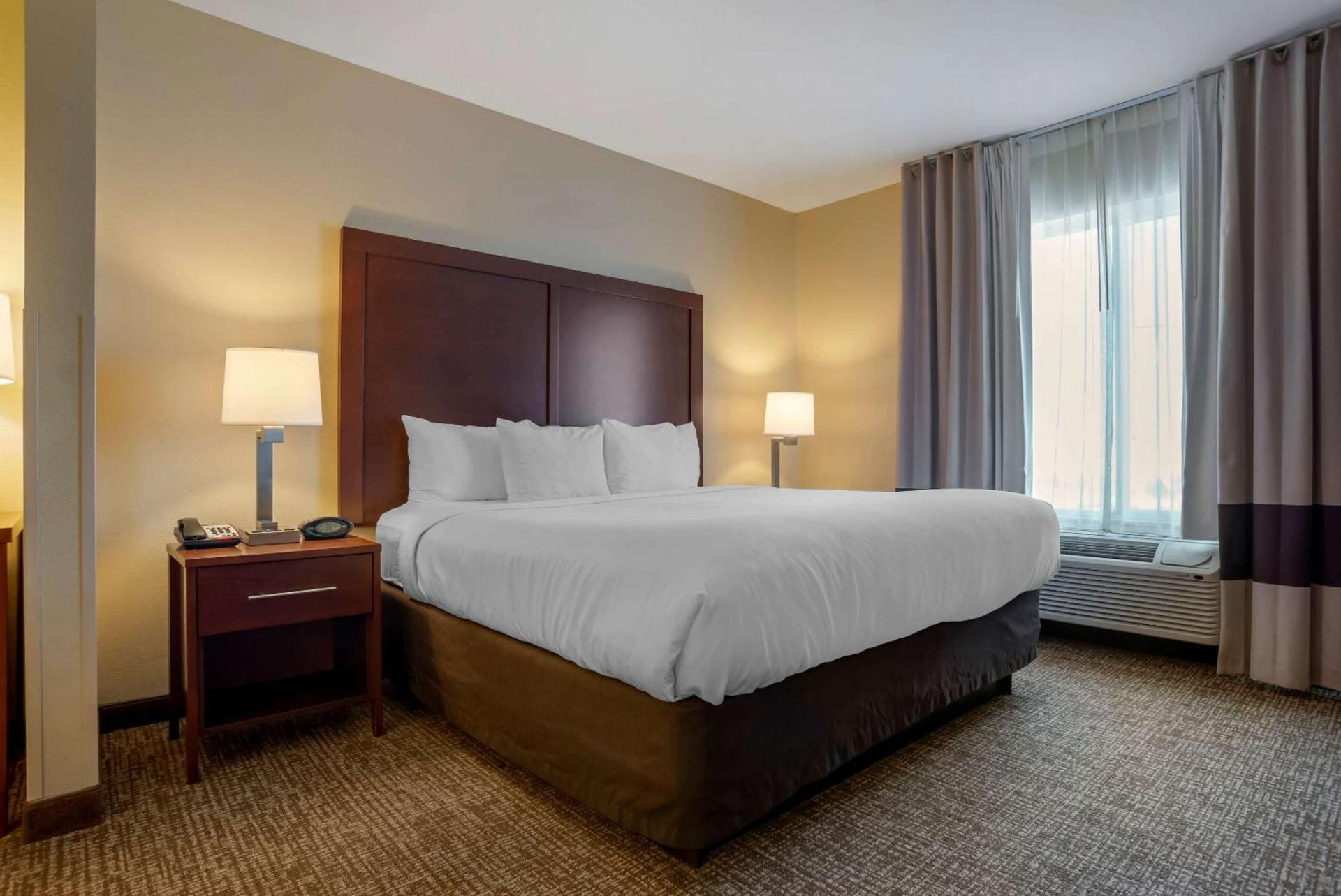 1 King Bed, Suite, Nonsmoking, Accessible