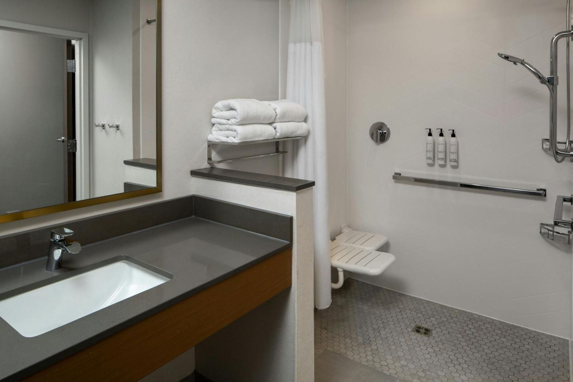 King Suite with Sofa Bed